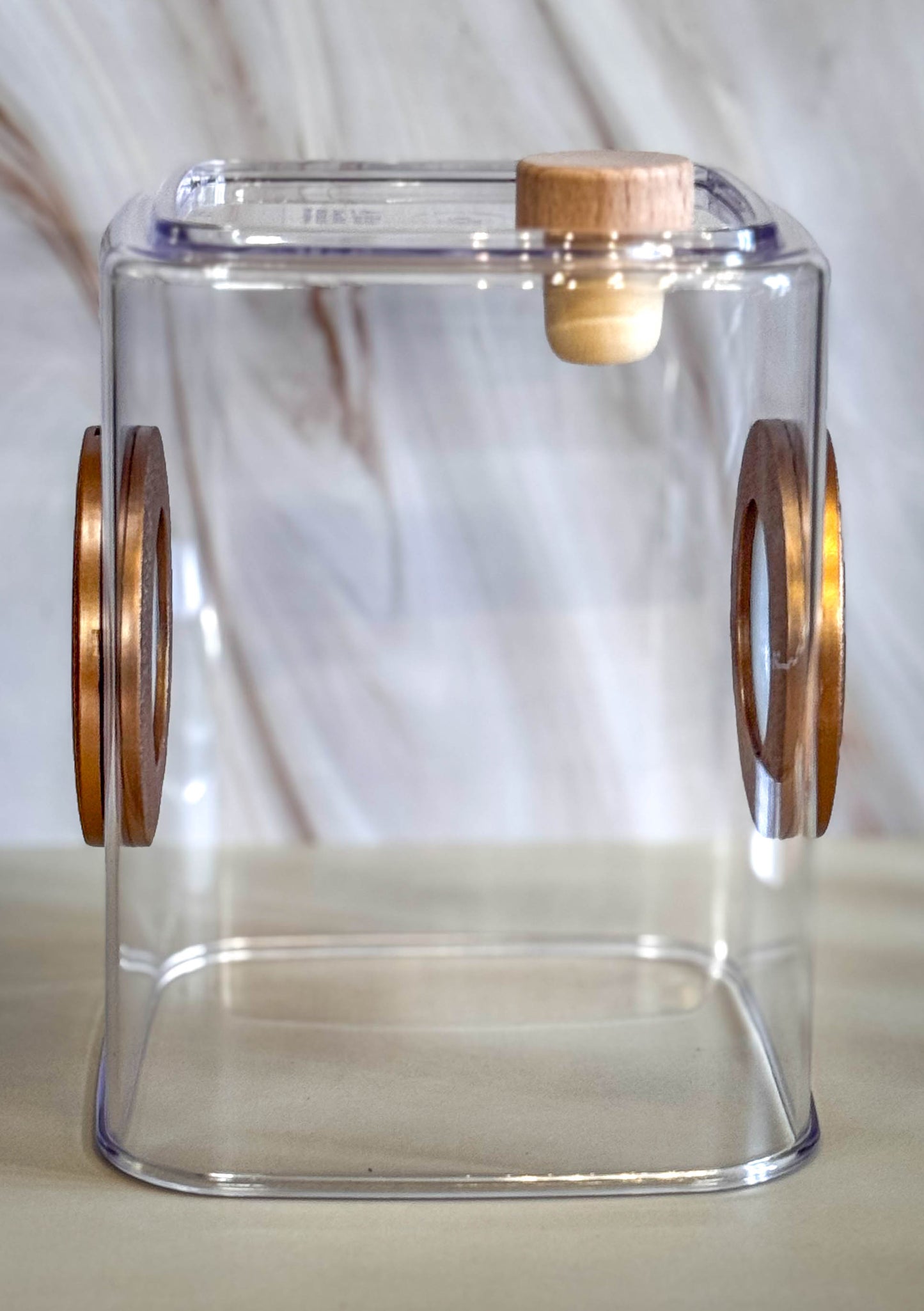 Decorated Medium Jumping Spider Enclosure, 5x5x7