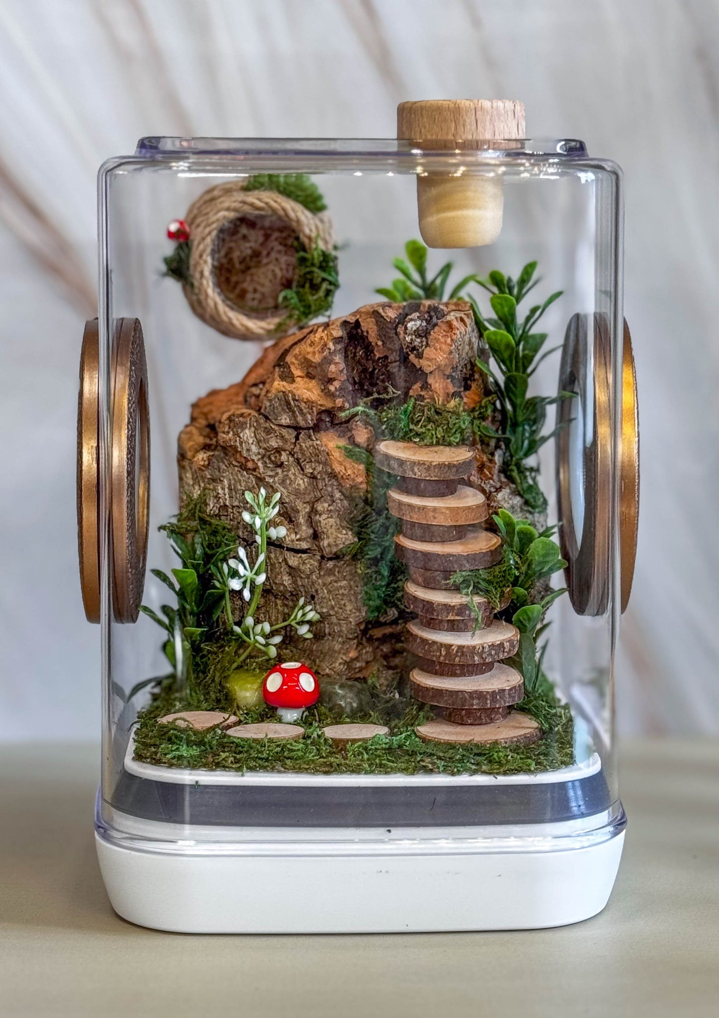 Decorated Medium Jumping Spider Enclosure, 5x5x7