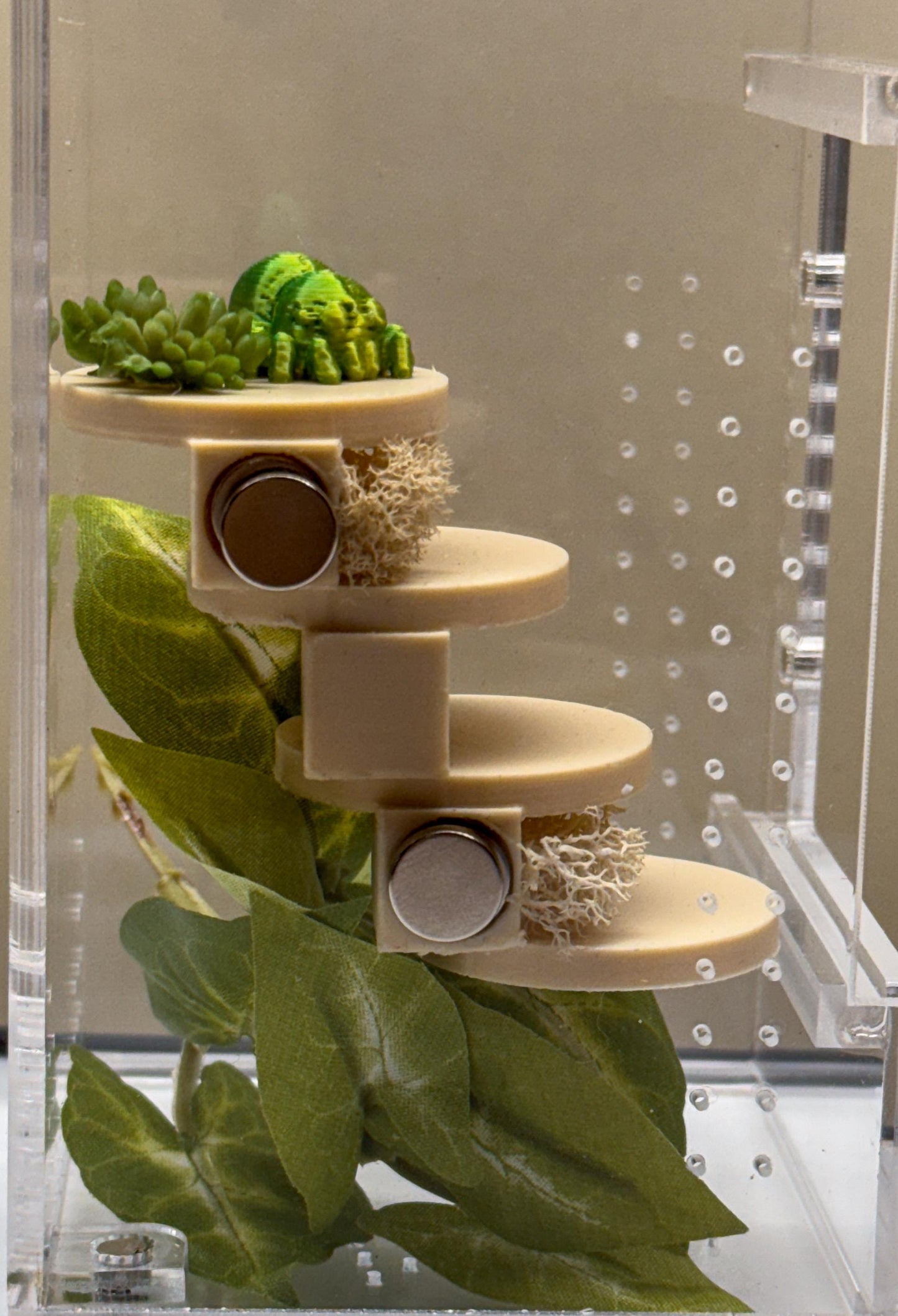 Jumping spider enclosure ladder or steps, magnetic enclosure accessory,  jumping spider decor, small to medium