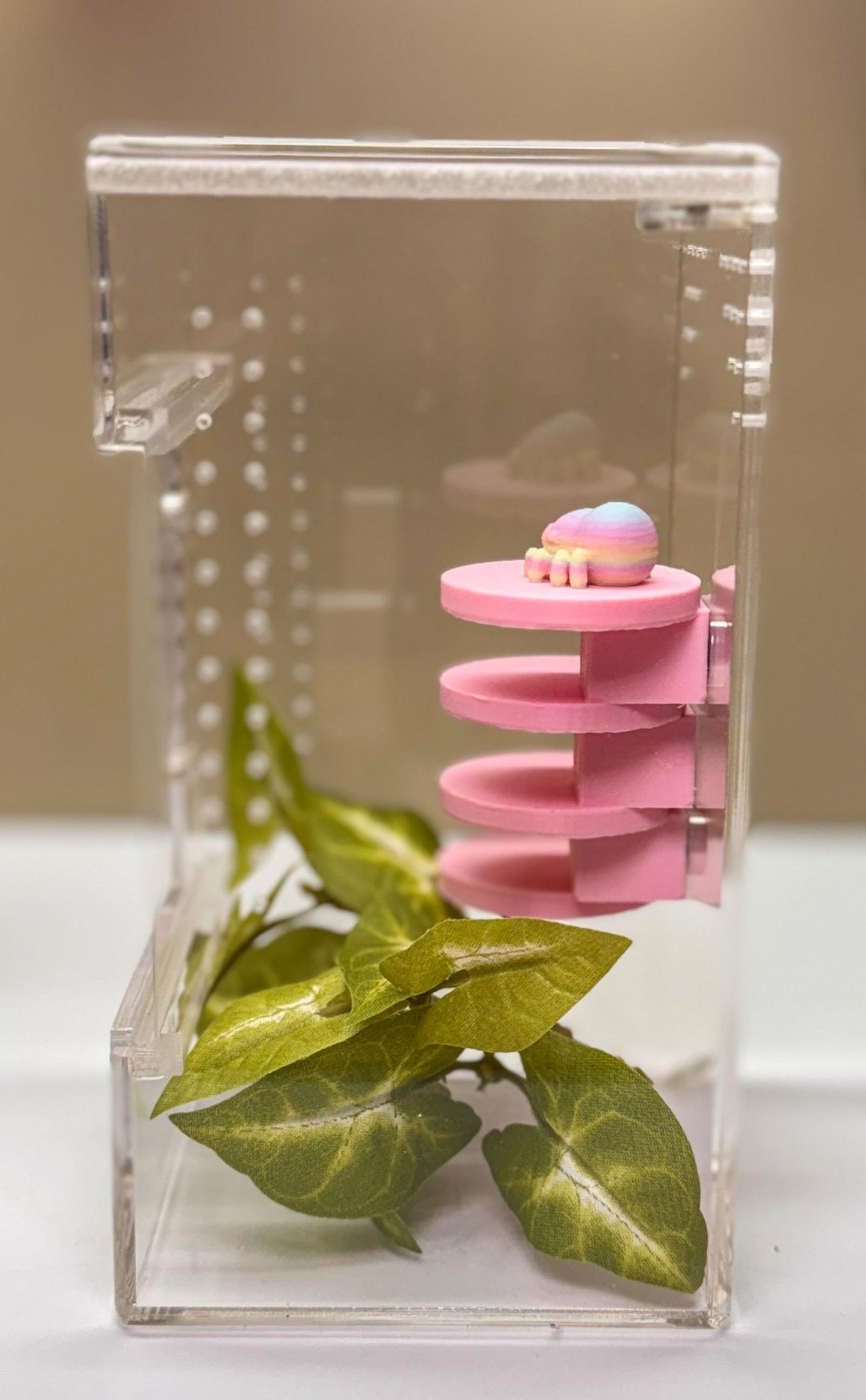 Jumping spider enclosure ladder or steps, magnetic enclosure accessory,  jumping spider decor, small to medium