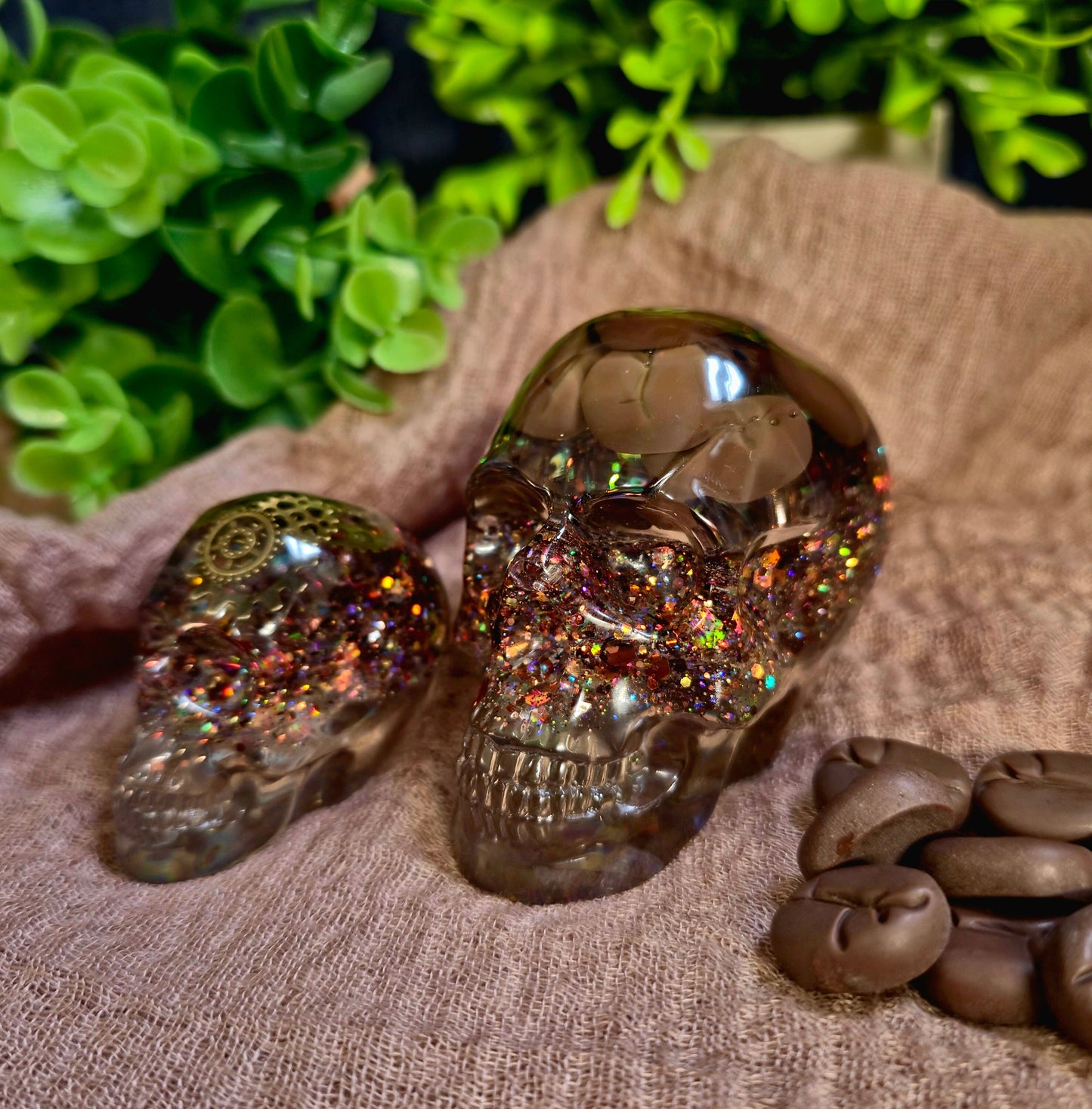 Steampunk Resin Skull with Coffee Bean Brains,  Quirky Desk Paperweight