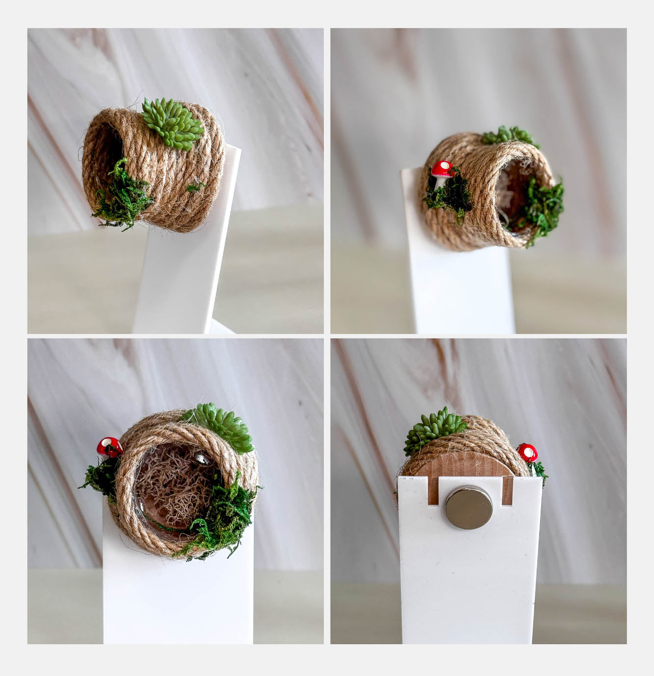 Decorated Small Jumping Spider Enclosure, 5x5x5