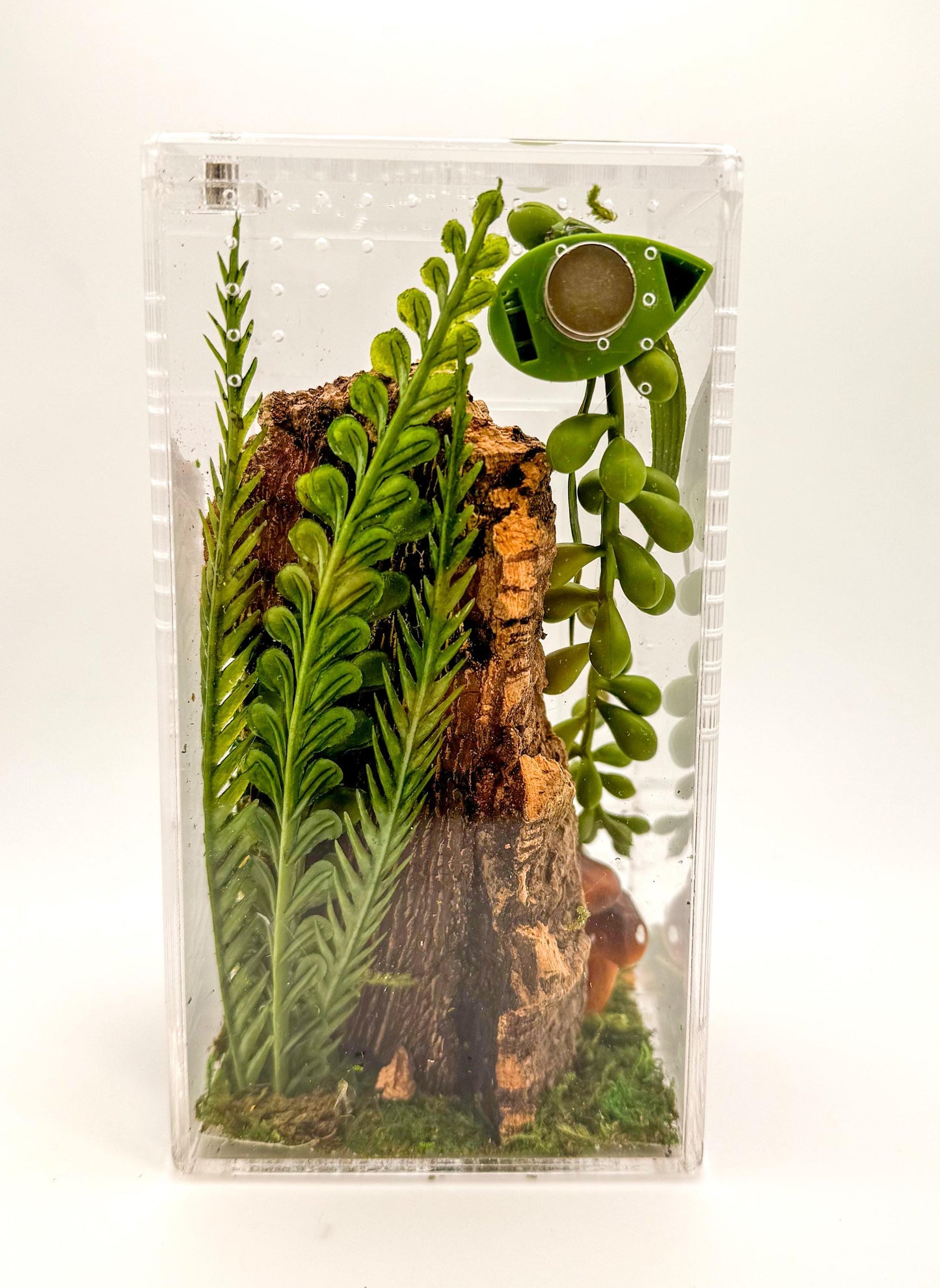 Small Decorated Magnetic Front Opening Jumping Spider Enclosure, 3x3x6