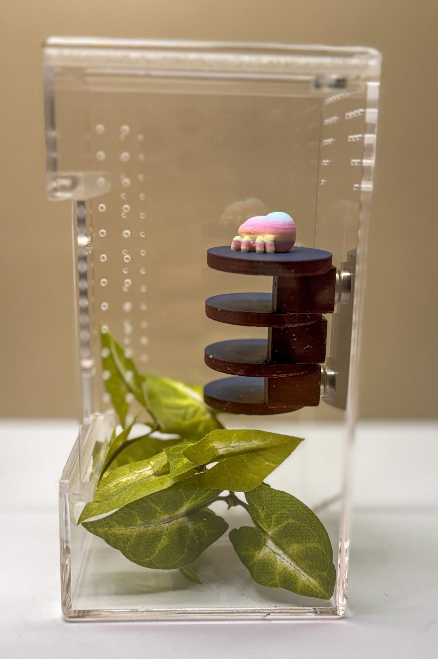 Jumping spider enclosure ladder or steps, magnetic enclosure accessory, small/medium decor for habitat