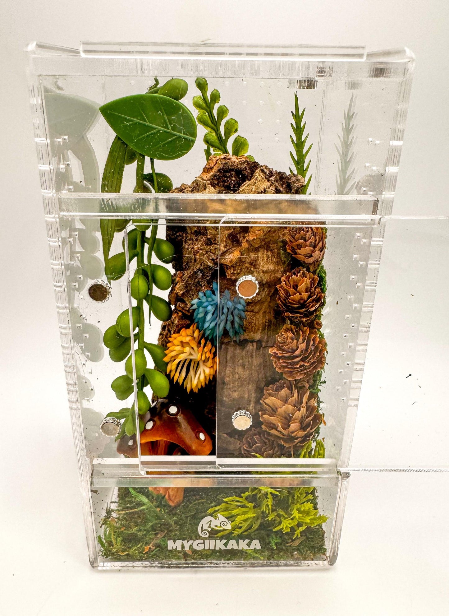 Small Decorated Magnetic Front Opening Jumping Spider Enclosure, 3x3x6