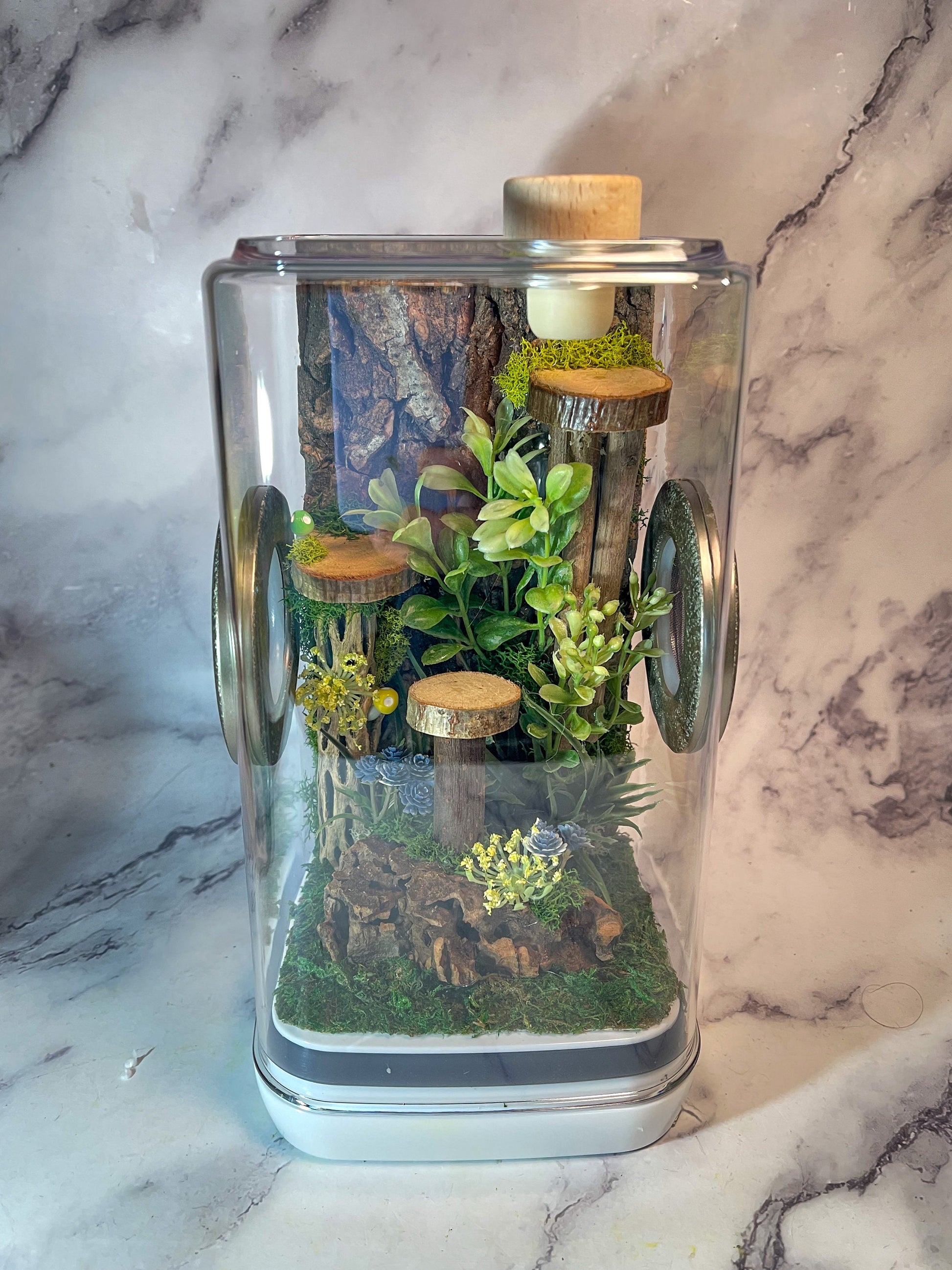 Jumping Spider Enclosure 5x5x9 spider house, spider tank, spider habitat, arachnid habitat, jumping spider habitat