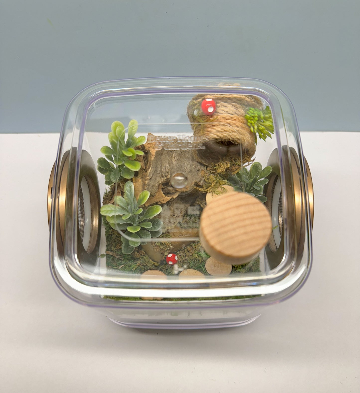 Jumping Spider Enclosure, 5x5x5 spider house, spider habitat, arachnid habitat, spider enclosure, jumping spider habitat