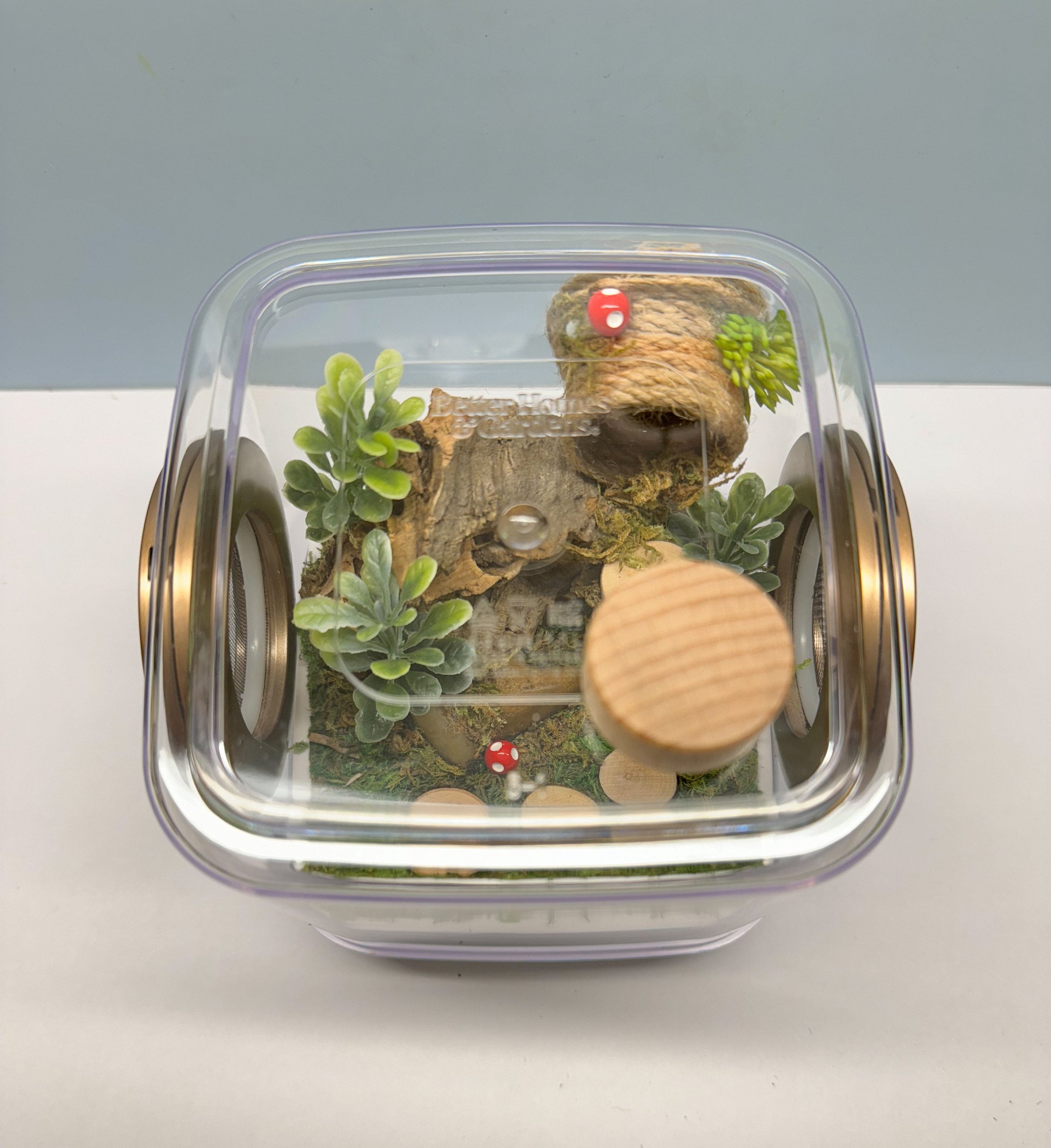 Jumping Spider Enclosure, 5x5x5 spider house, spider habitat, arachnid habitat, spider enclosure, jumping spider habitat