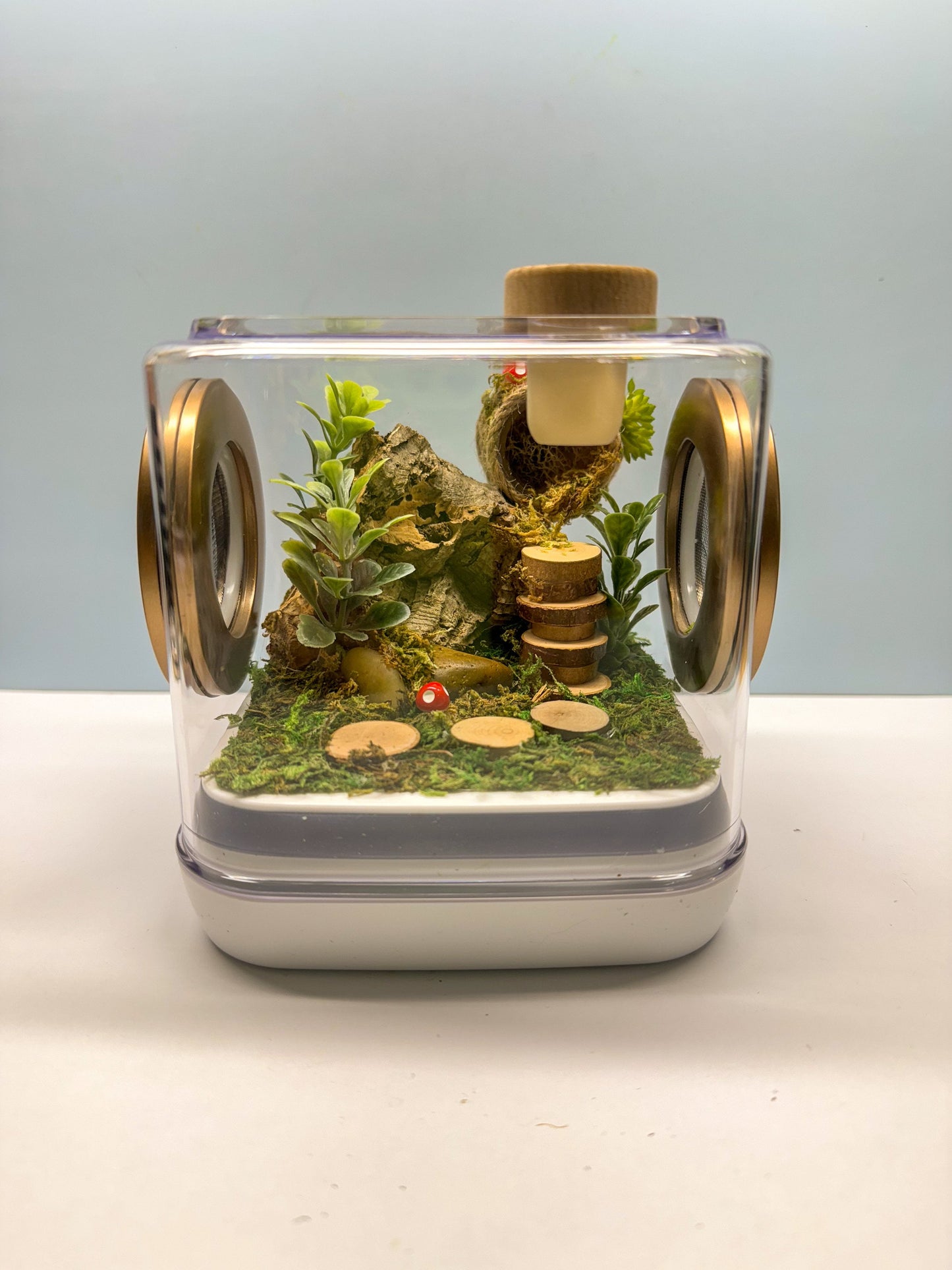 Jumping Spider Enclosure, 5x5x5 spider house, spider habitat, arachnid habitat, spider enclosure, jumping spider habitat