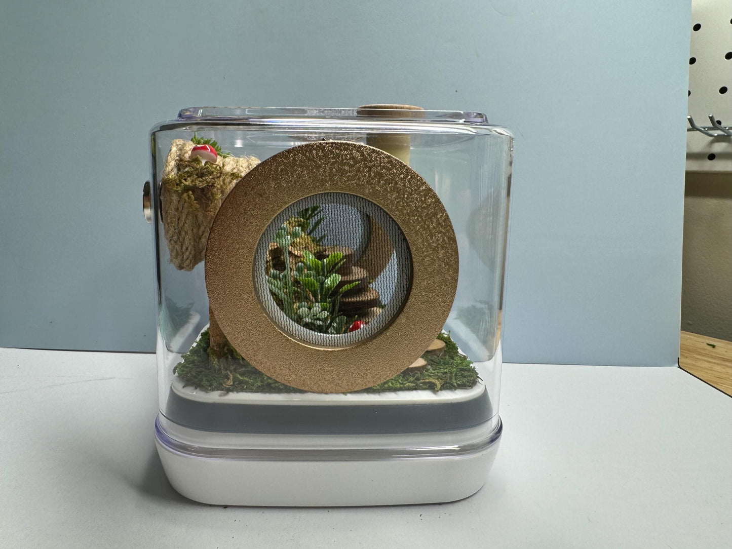Jumping Spider Enclosure, 5x5x5 spider house, spider habitat, arachnid habitat, spider enclosure, jumping spider habitat