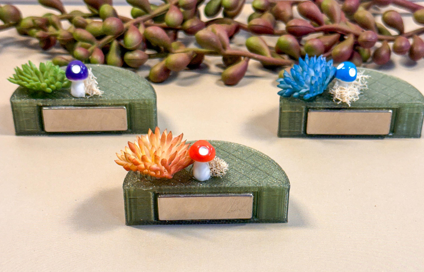 Jumping Spider Magnetic shelf, accessories for jumping spider enclosure, jumping spider habitat, jumping spider decor