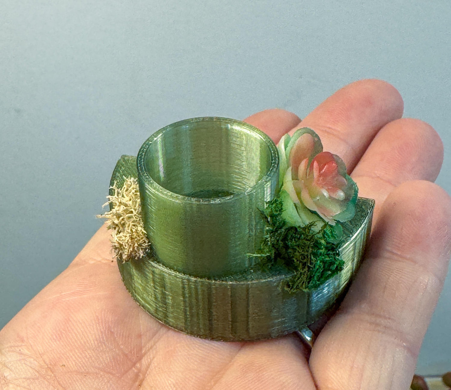 Jumping Spider food dish/shelf, accessories for jumping spider enclosure, jumping spider habitat, jumping spider decor