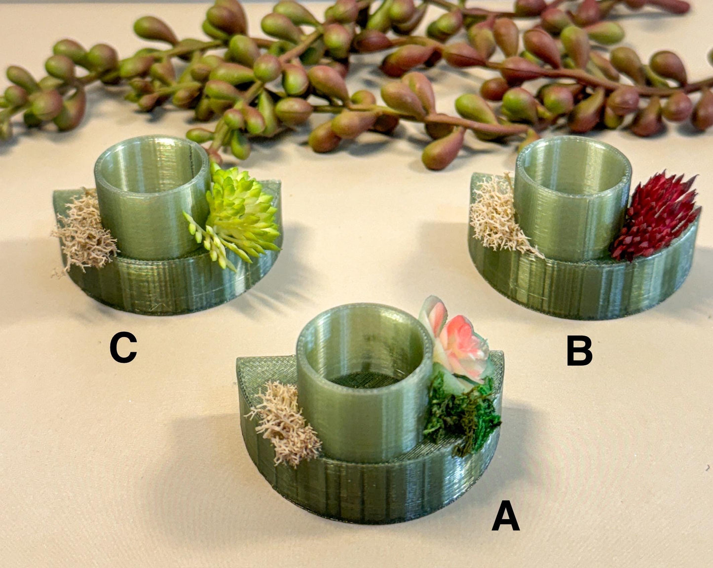 Jumping Spider food dish/shelf, accessories for jumping spider enclosure, jumping spider habitat, jumping spider decor