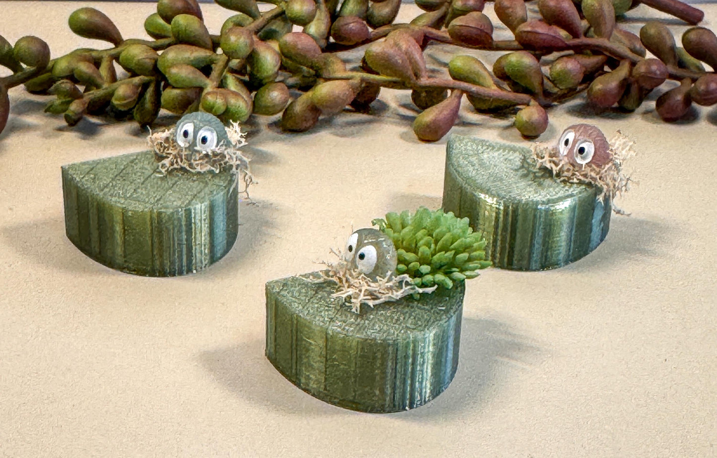 Jumping Spider Magnetic shelf, accessories for jumping spider enclosure, jumping spider habitat, jumping spider decor