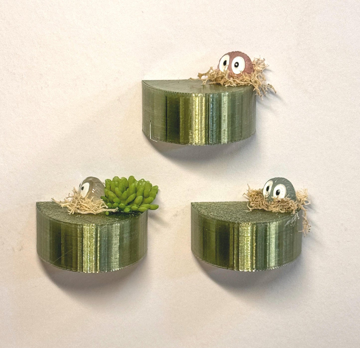 Jumping Spider Magnetic shelf, accessories for jumping spider enclosure, jumping spider habitat, jumping spider decor