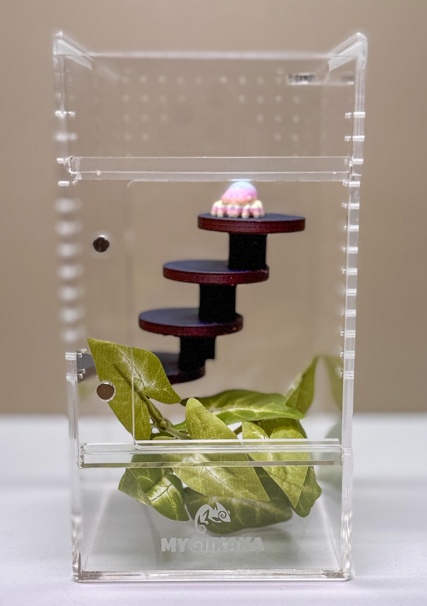 Jumping spider enclosure ladder or steps, magnetic enclosure accessory, small/medium decor for habitat