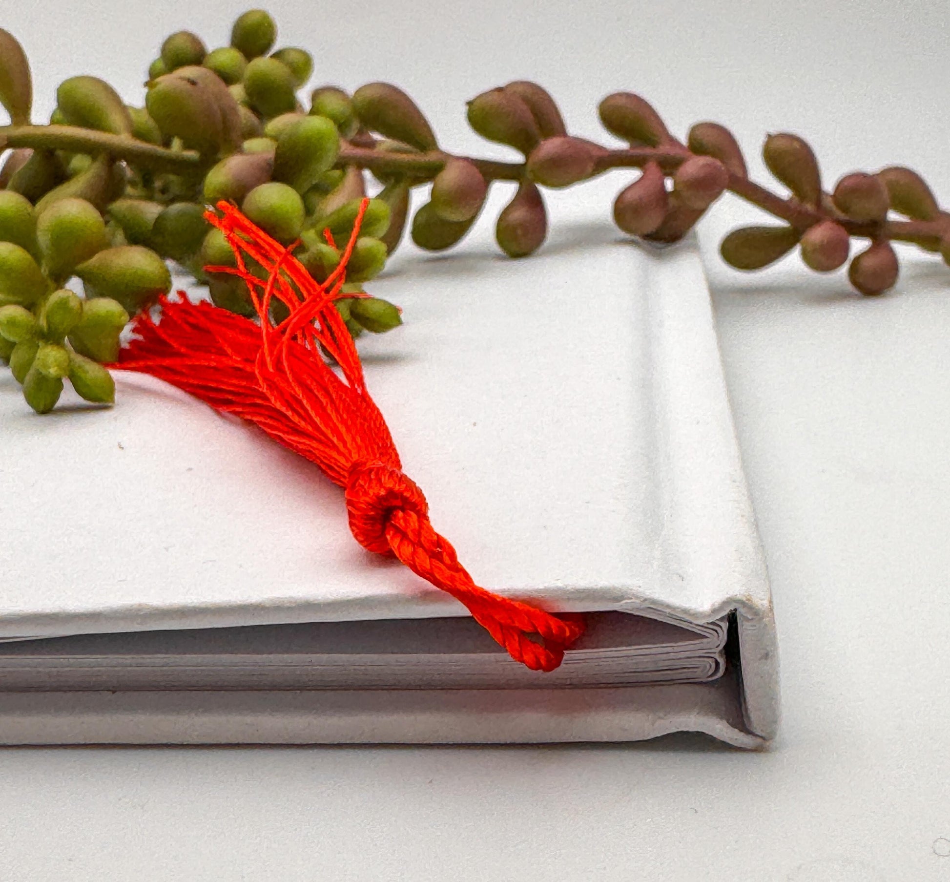 Acrylic Bookmark with Tassel, Handmade Reader Gift
