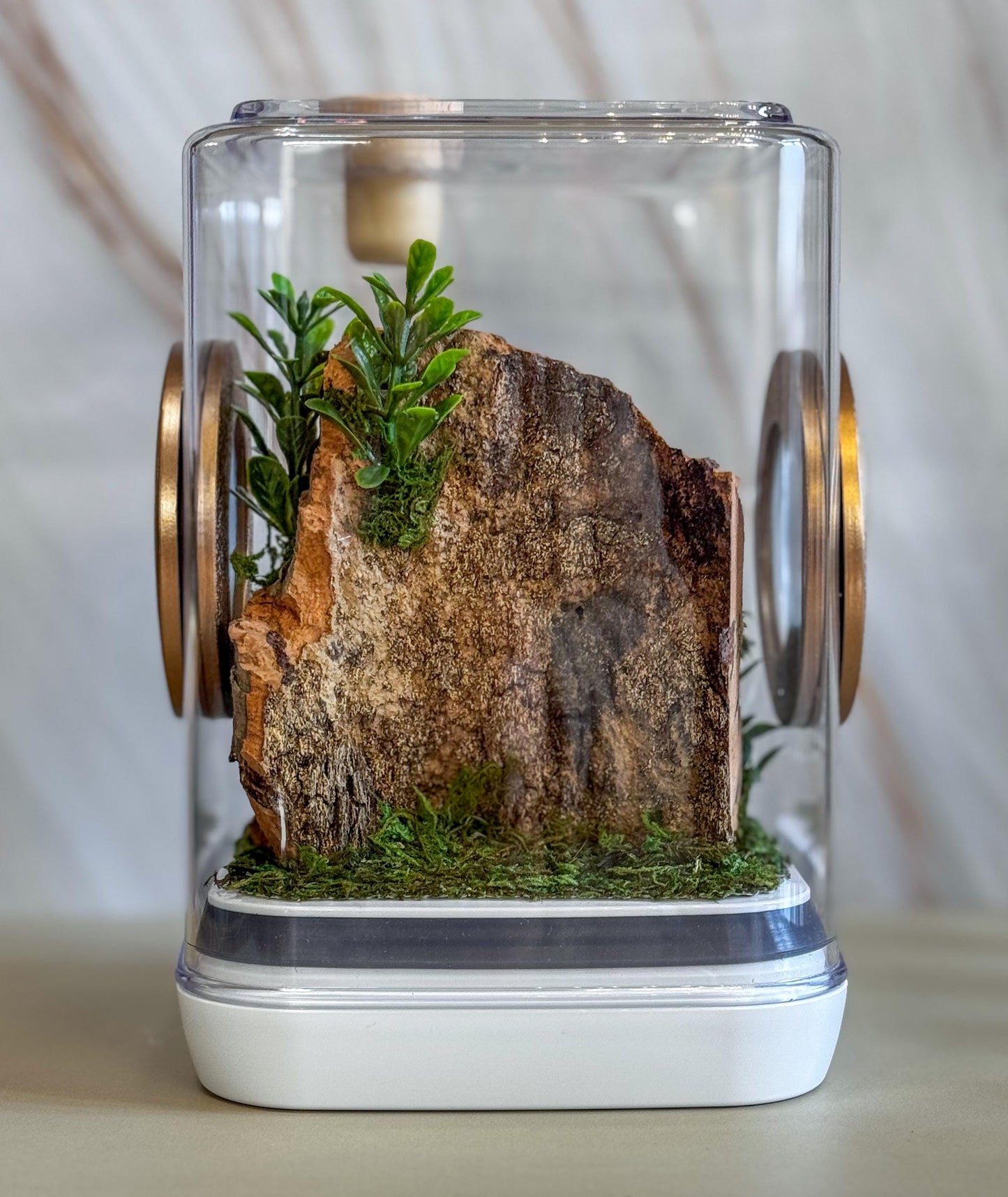 Jumping Spider Enclosure 5x5x7, spider house, spider habitat, arachnid habitat, spider enclosure, jumping spider habitat