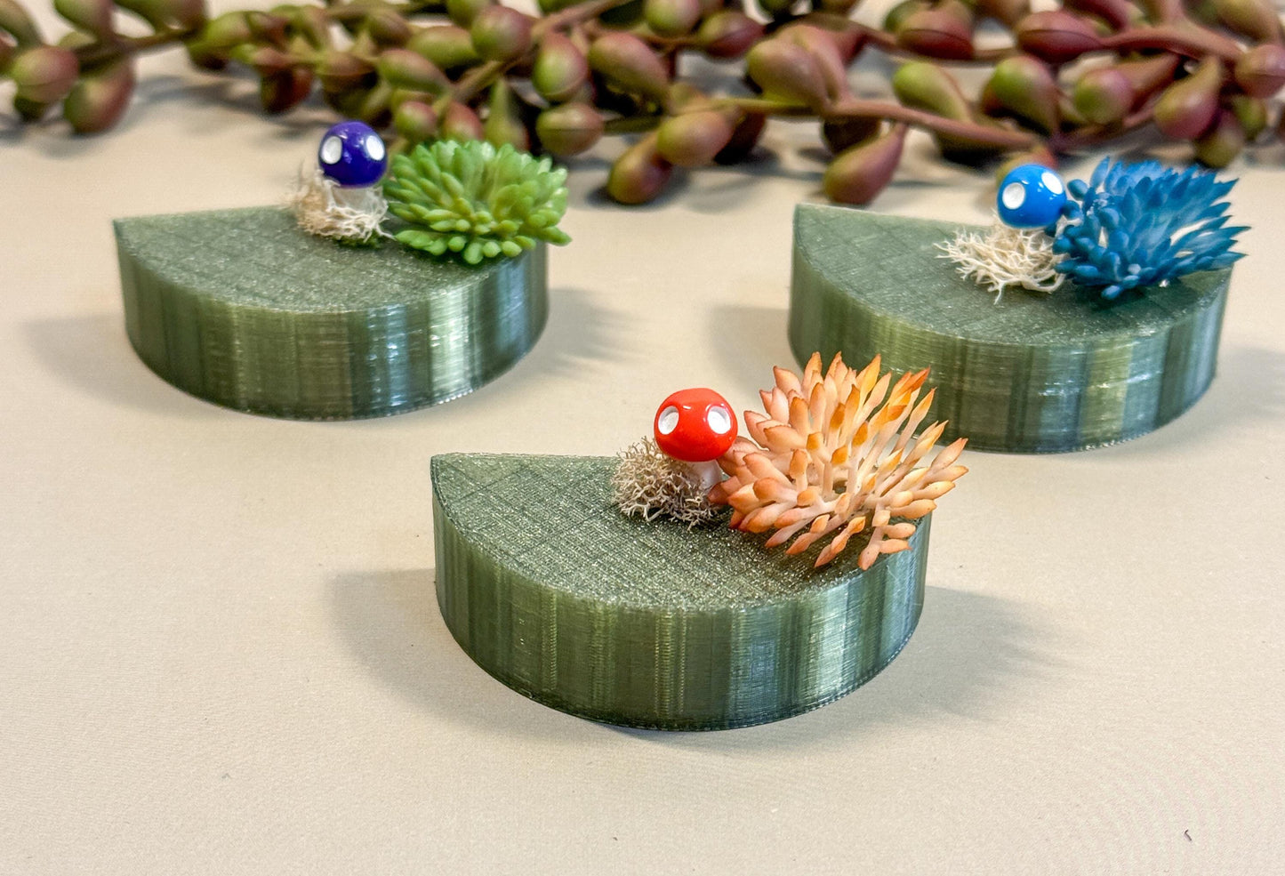 Jumping Spider Magnetic shelf, accessories for jumping spider enclosure, jumping spider habitat, jumping spider decor