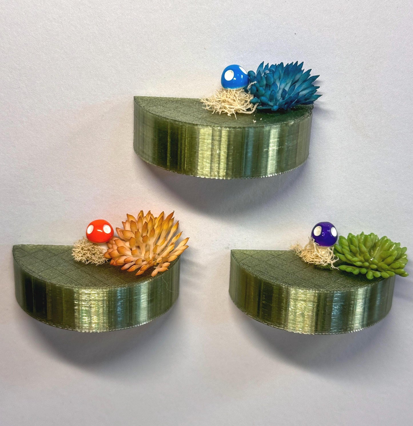 Jumping Spider Magnetic shelf, accessories for jumping spider enclosure, jumping spider habitat, jumping spider decor