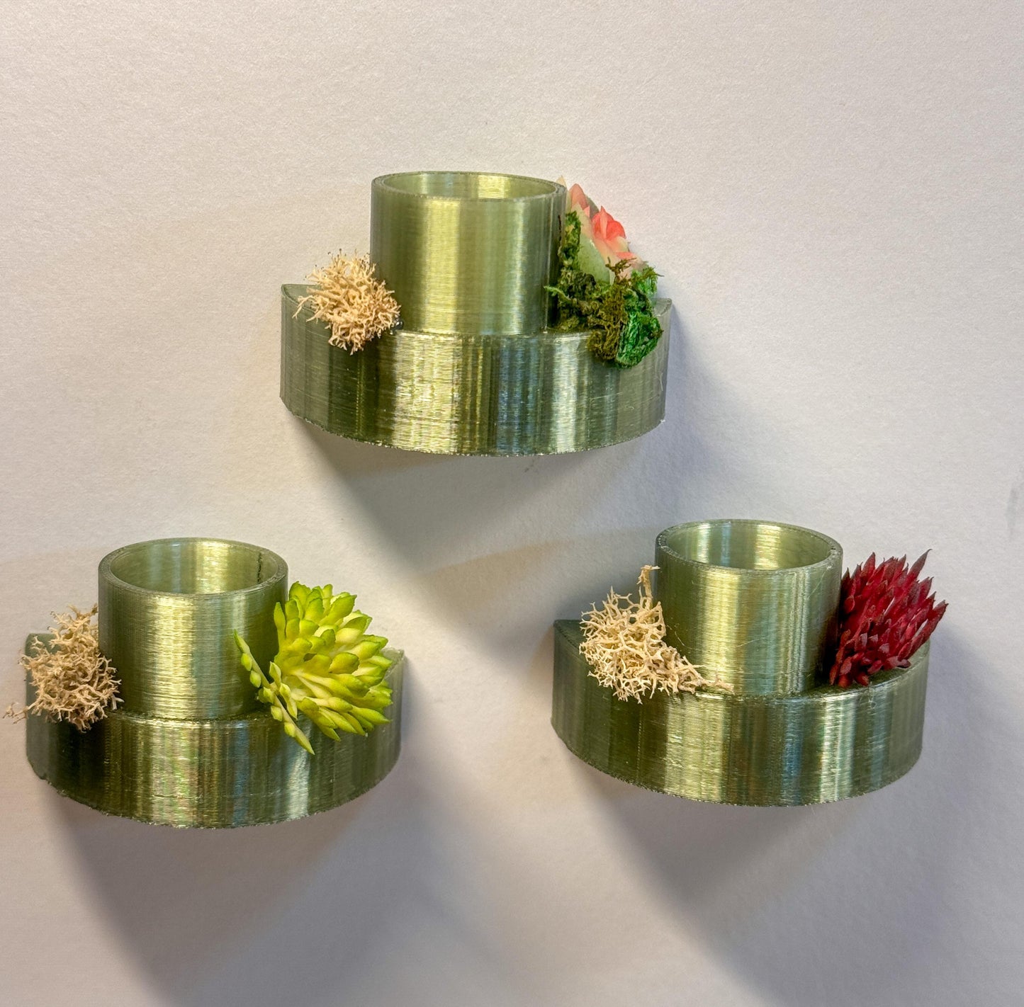 Jumping Spider food dish/shelf, accessories for jumping spider enclosure, jumping spider habitat, jumping spider decor
