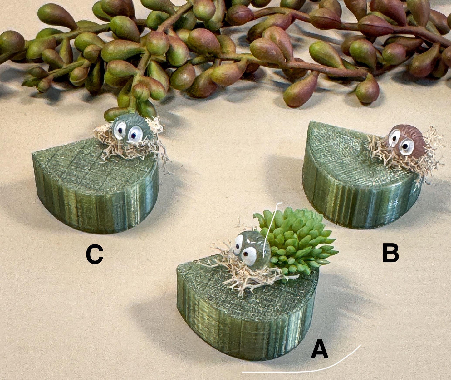 Jumping Spider Magnetic shelf, accessories for jumping spider enclosure, jumping spider habitat, jumping spider decor