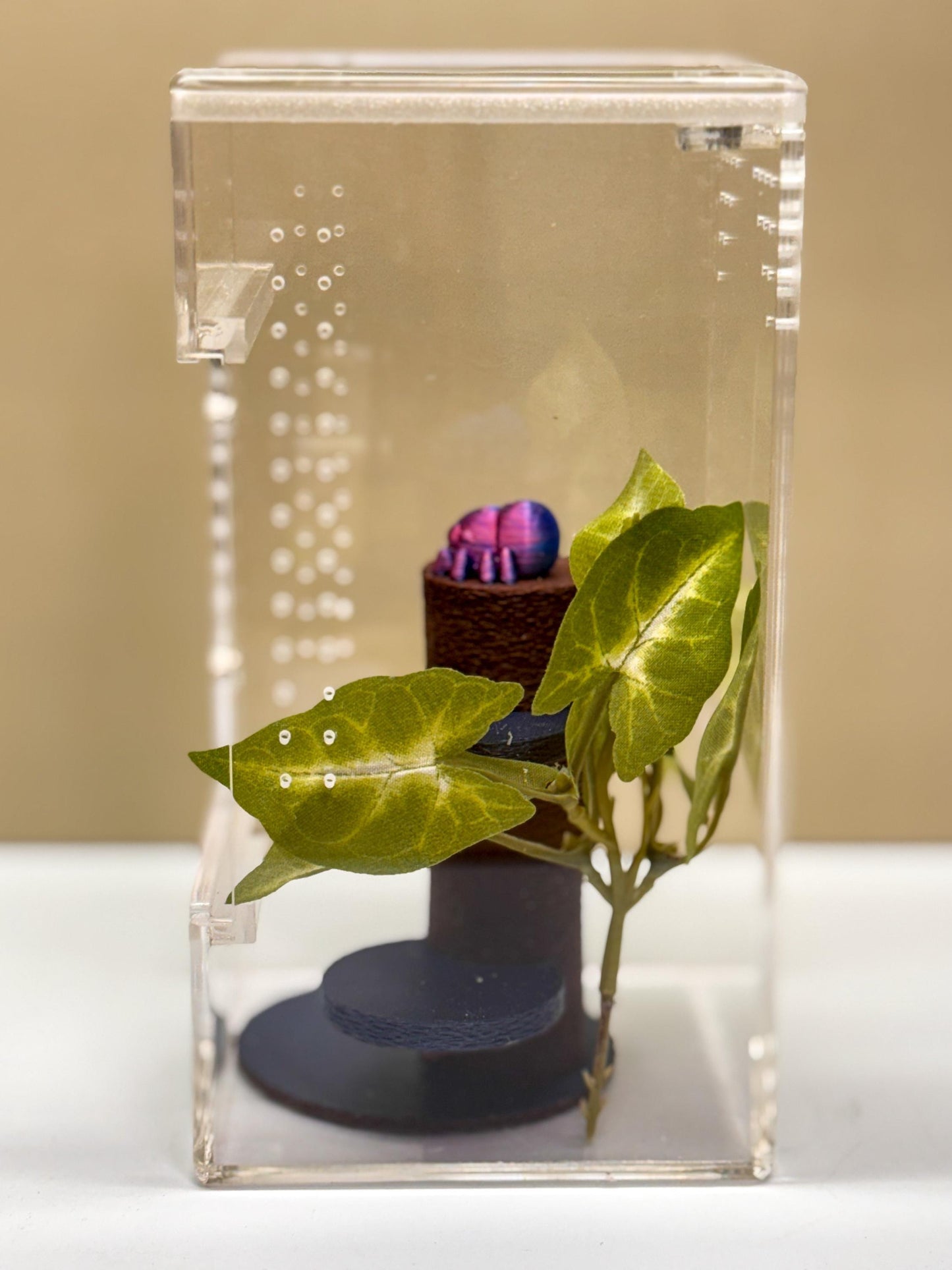 Jumping Spider Tower, 3D Printed Enrichment Decor
