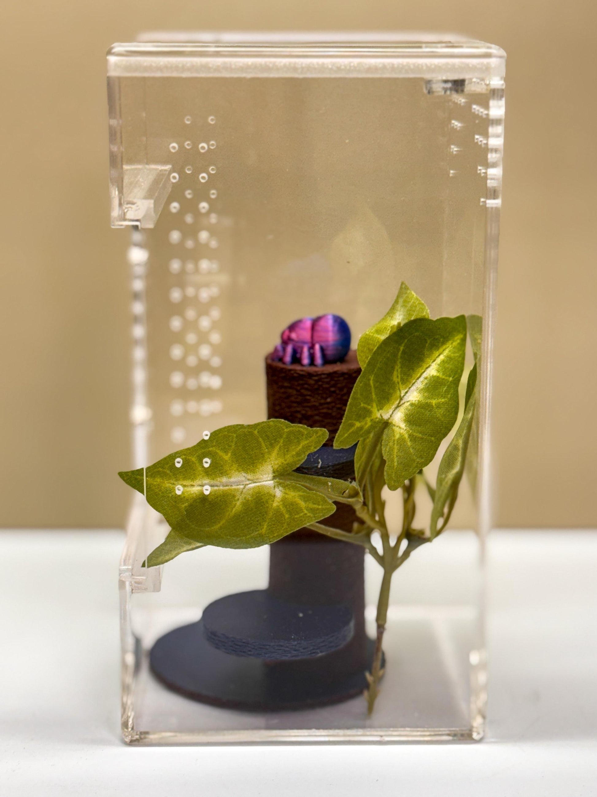 Jumping Spider Tower, 3D Printed Enrichment Decor