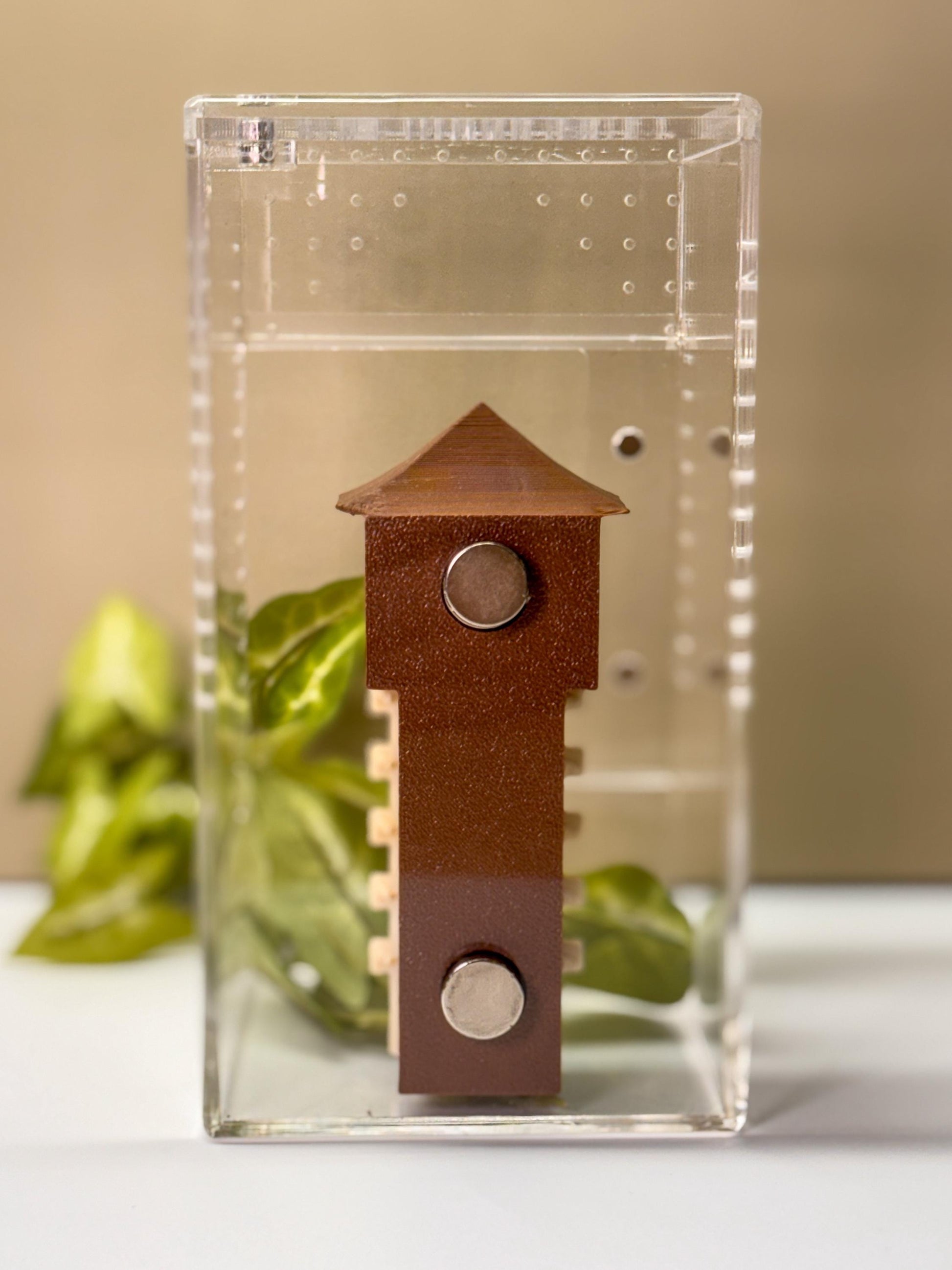 3D Printed Jumping Spider Hide with Ladder, Magnetic Enclosure Accessory