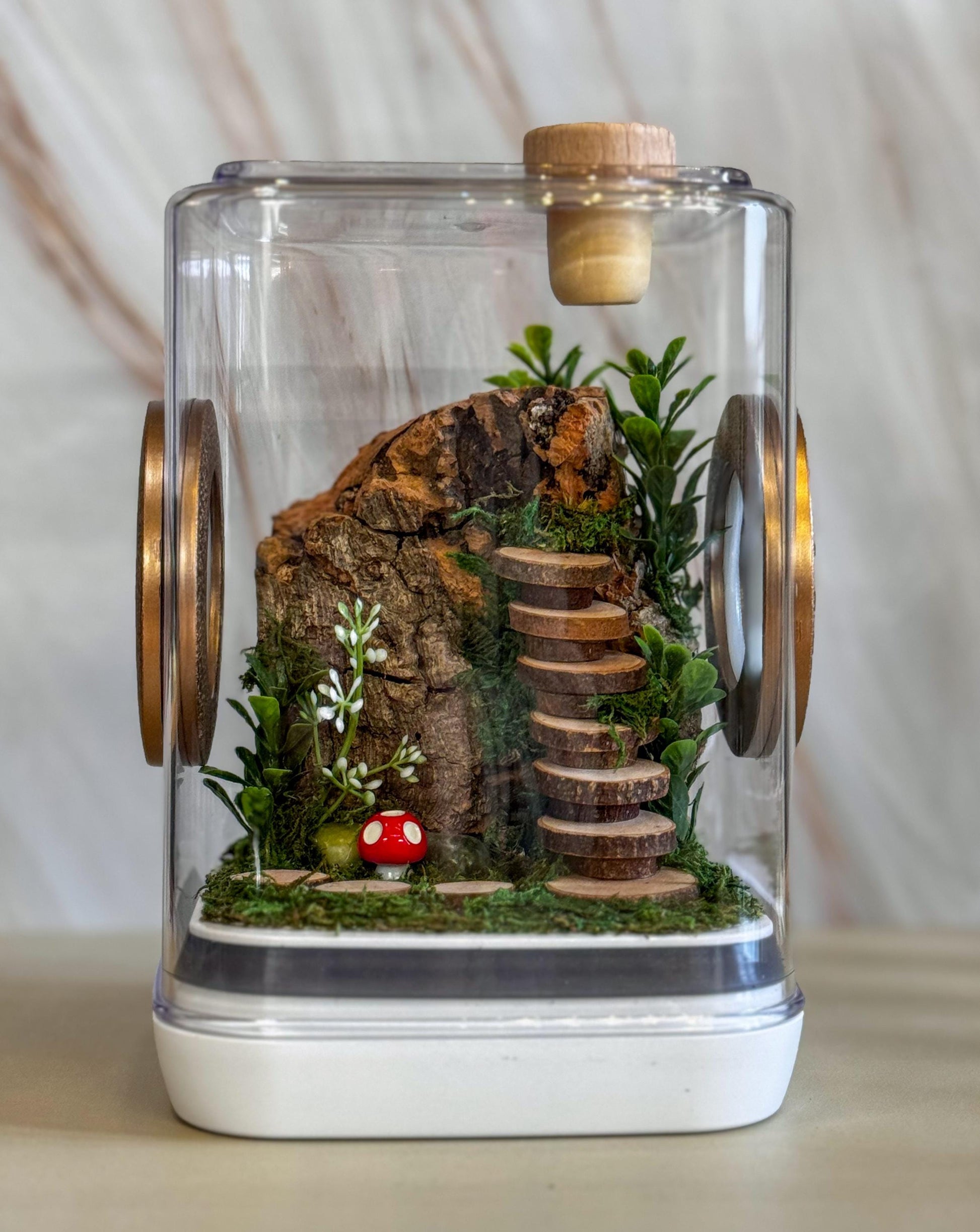 Jumping Spider Enclosure 5x5x7, spider house, spider habitat, arachnid habitat, spider enclosure, jumping spider habitat
