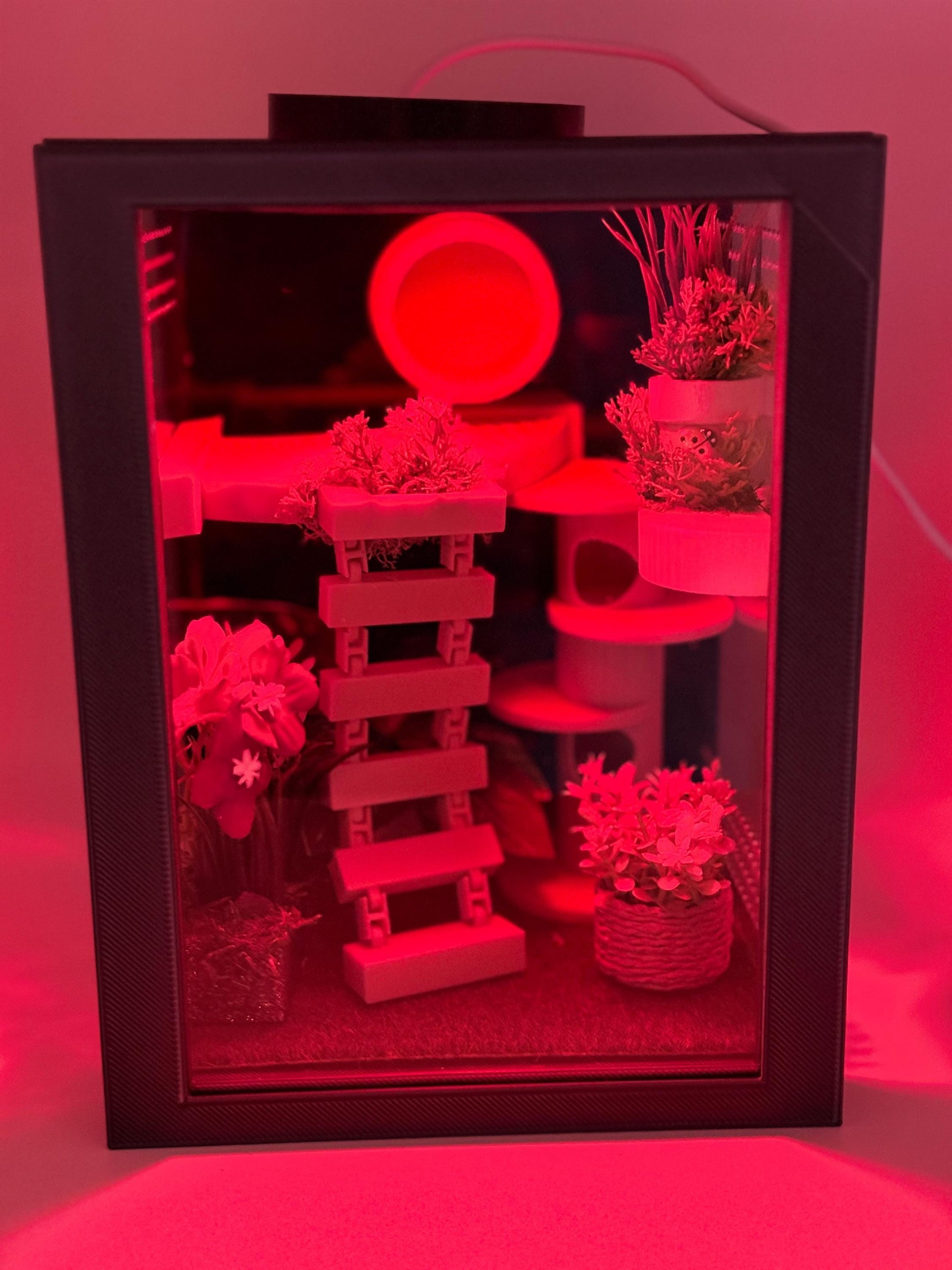 Jumping Spider Enclosure, Front Opening Habitat (7.25x5.5x5x5)