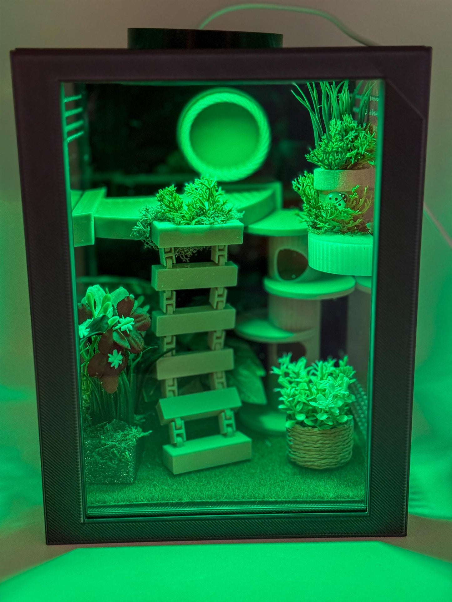 Jumping Spider Enclosure, Front Opening Habitat (7.25x5.5x5x5)