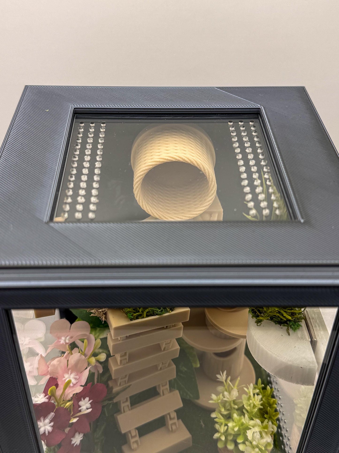 Jumping Spider Enclosure, Front Opening Habitat (7.25x5.5x5x5)