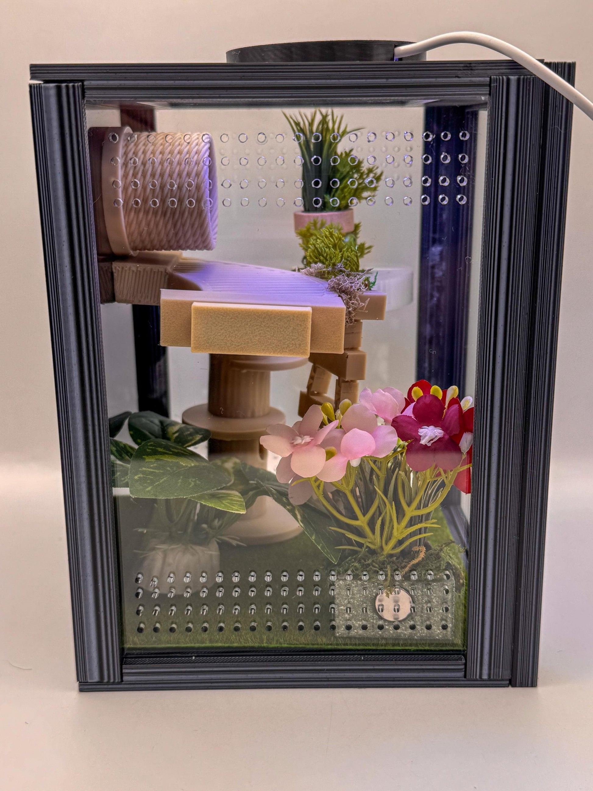 Jumping Spider Enclosure, Front Opening Habitat (7.25x5.5x5x5)