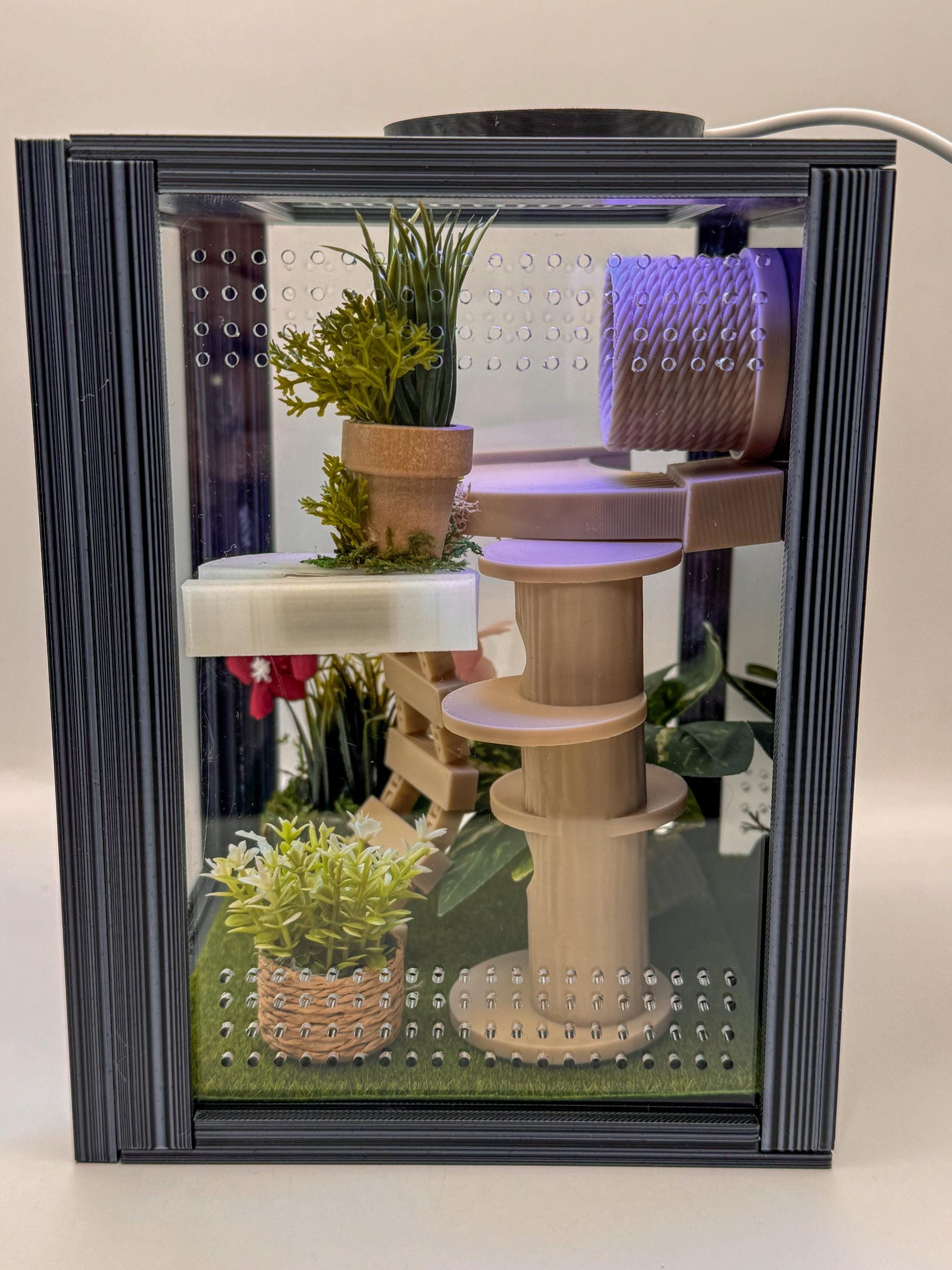 Jumping Spider Enclosure, Front Opening Habitat (7.25x5.5x5x5)