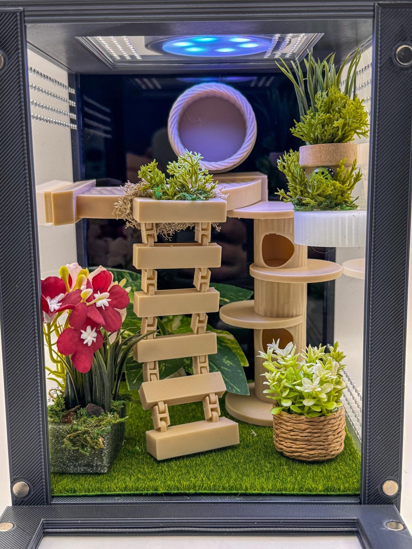 Jumping Spider Enclosure, Front Opening Habitat (7.25x5.5x5x5)