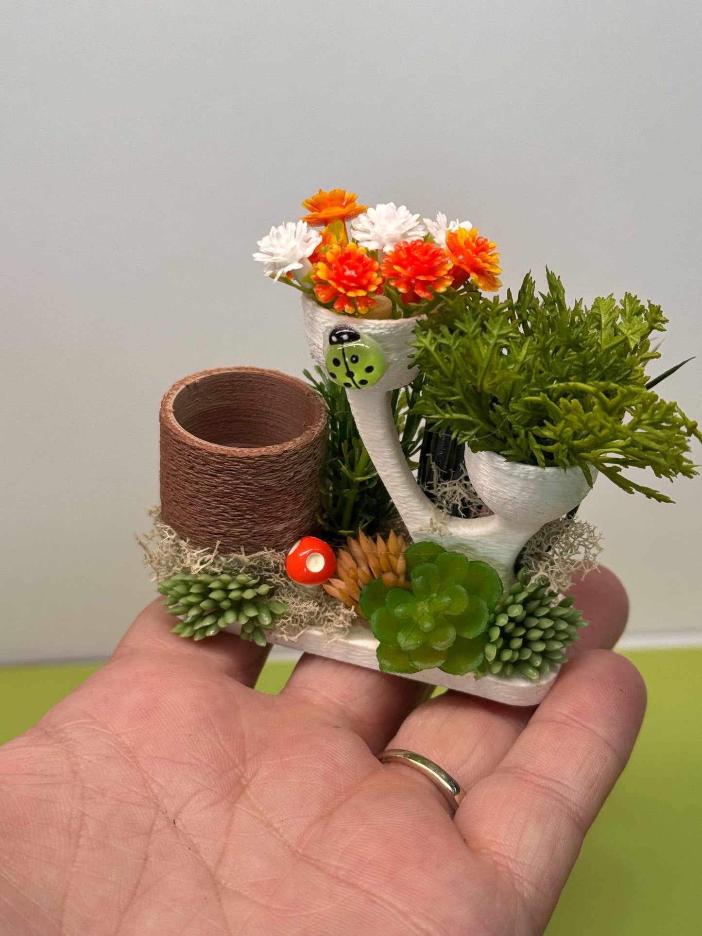 Jumping Spider Food Dish and Playset or Playground