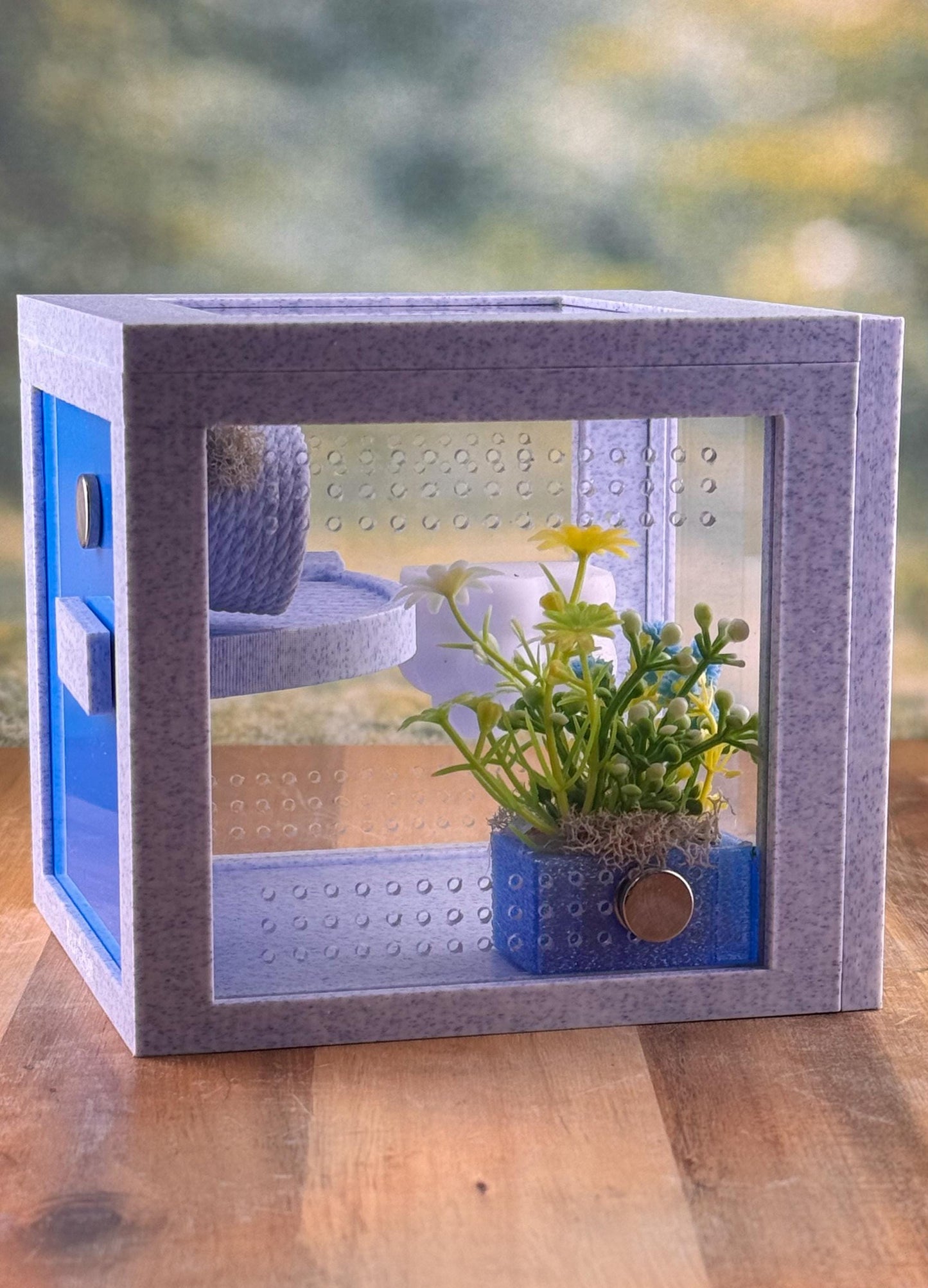 Jumping Spider Enclosure, Front Opening Habitat (4.5x4.5x4.25) Blue Marble