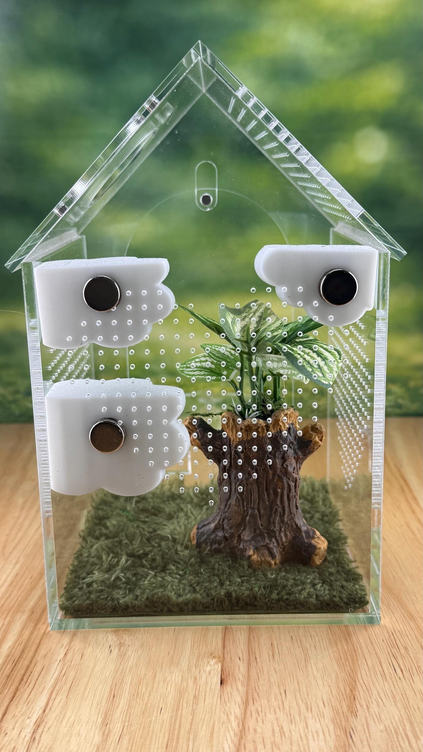 3D Printed Corner Cloud Shelf, Magnetic Jumping Spider Habitat Decor
