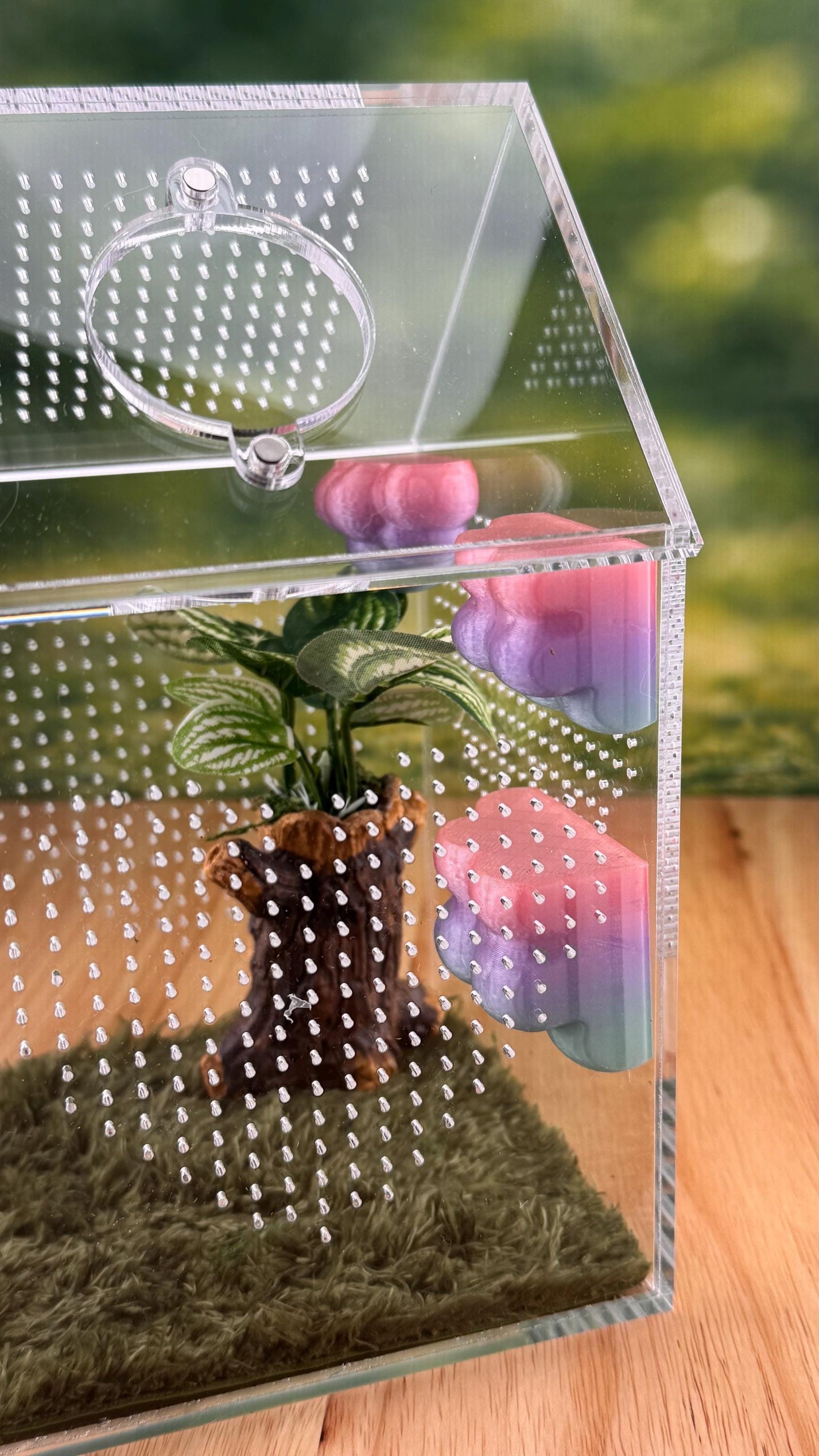 3D Printed Corner Cloud Shelf, Magnetic Jumping Spider Habitat Decor