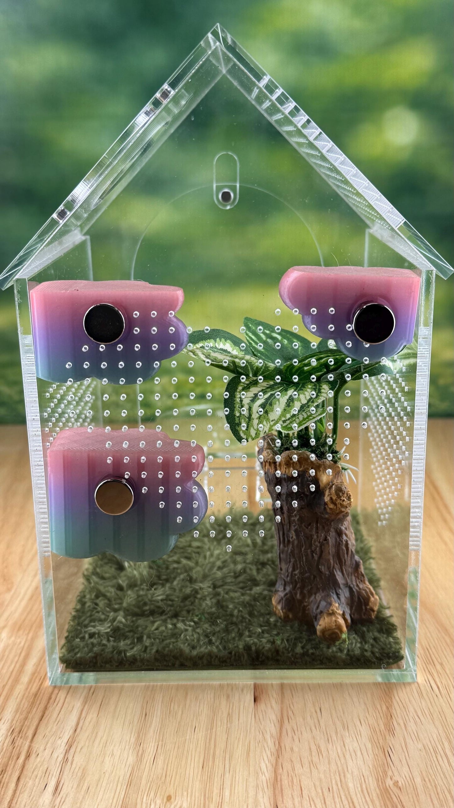 3D Printed Corner Cloud Shelf, Magnetic Jumping Spider Habitat Decor