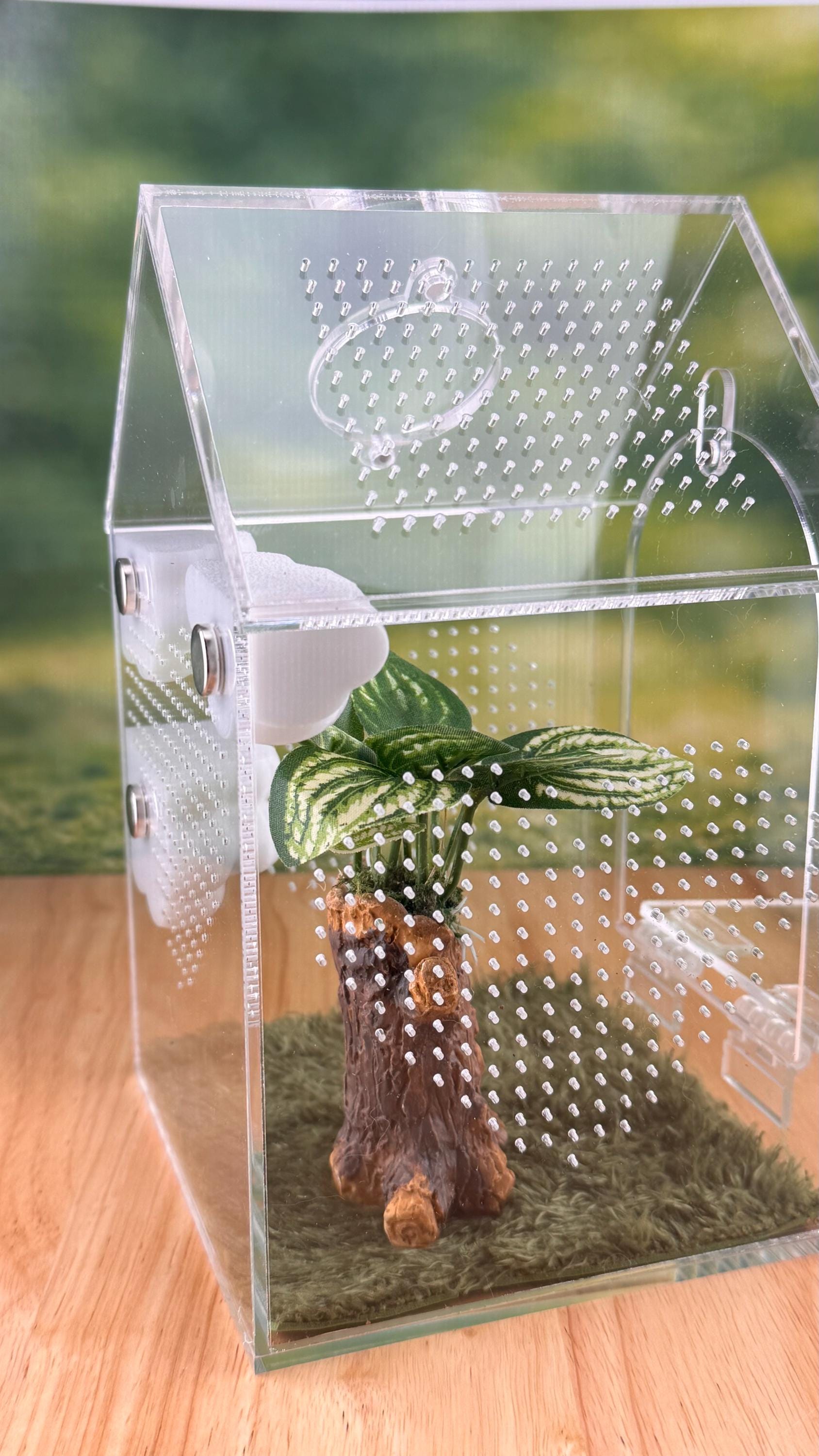 3D Printed Corner Cloud Shelf, Magnetic Jumping Spider Habitat Decor
