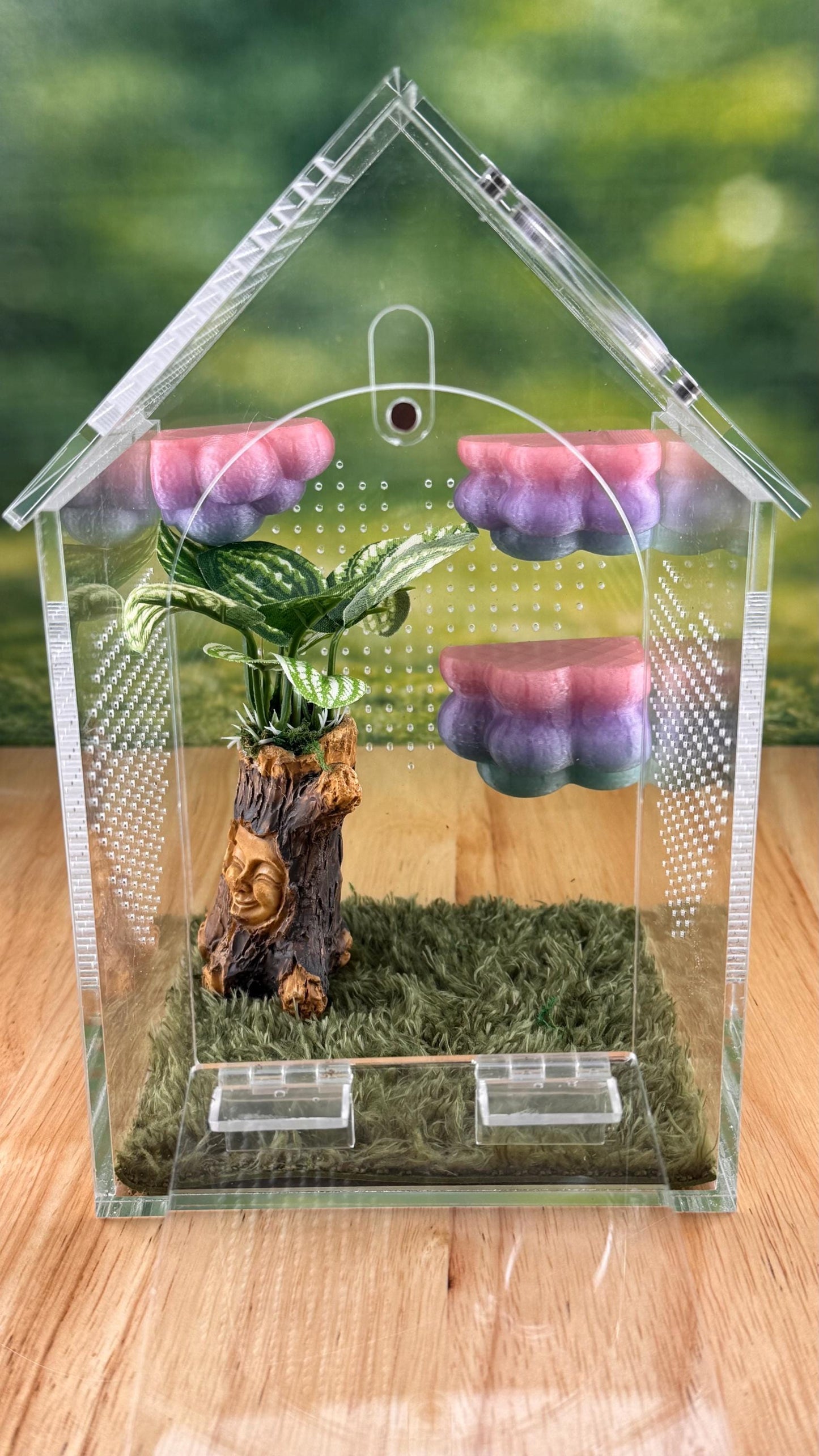 3D Printed Corner Cloud Shelf, Magnetic Jumping Spider Habitat Decor