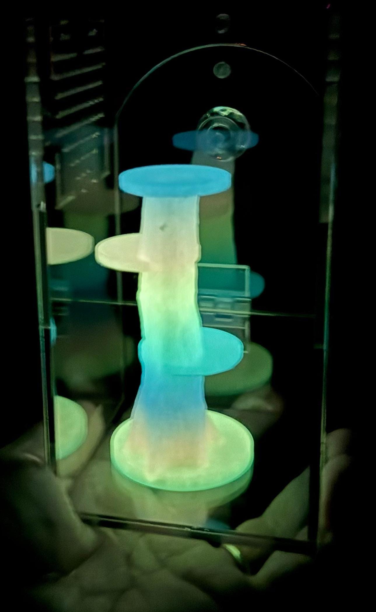 Rainbow Glow in the Dark Jumping Spider Tower playground or enclosure accessory