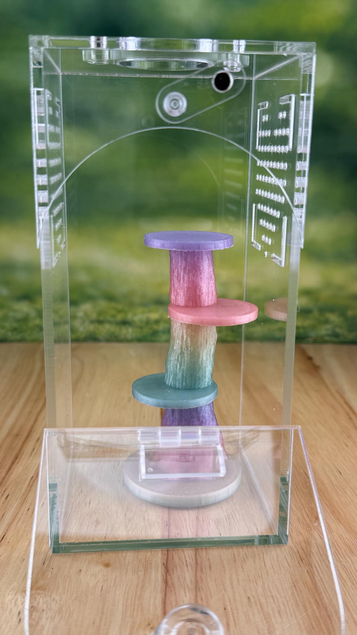 Rainbow Glow in the Dark Jumping Spider Tower playground or enclosure accessory