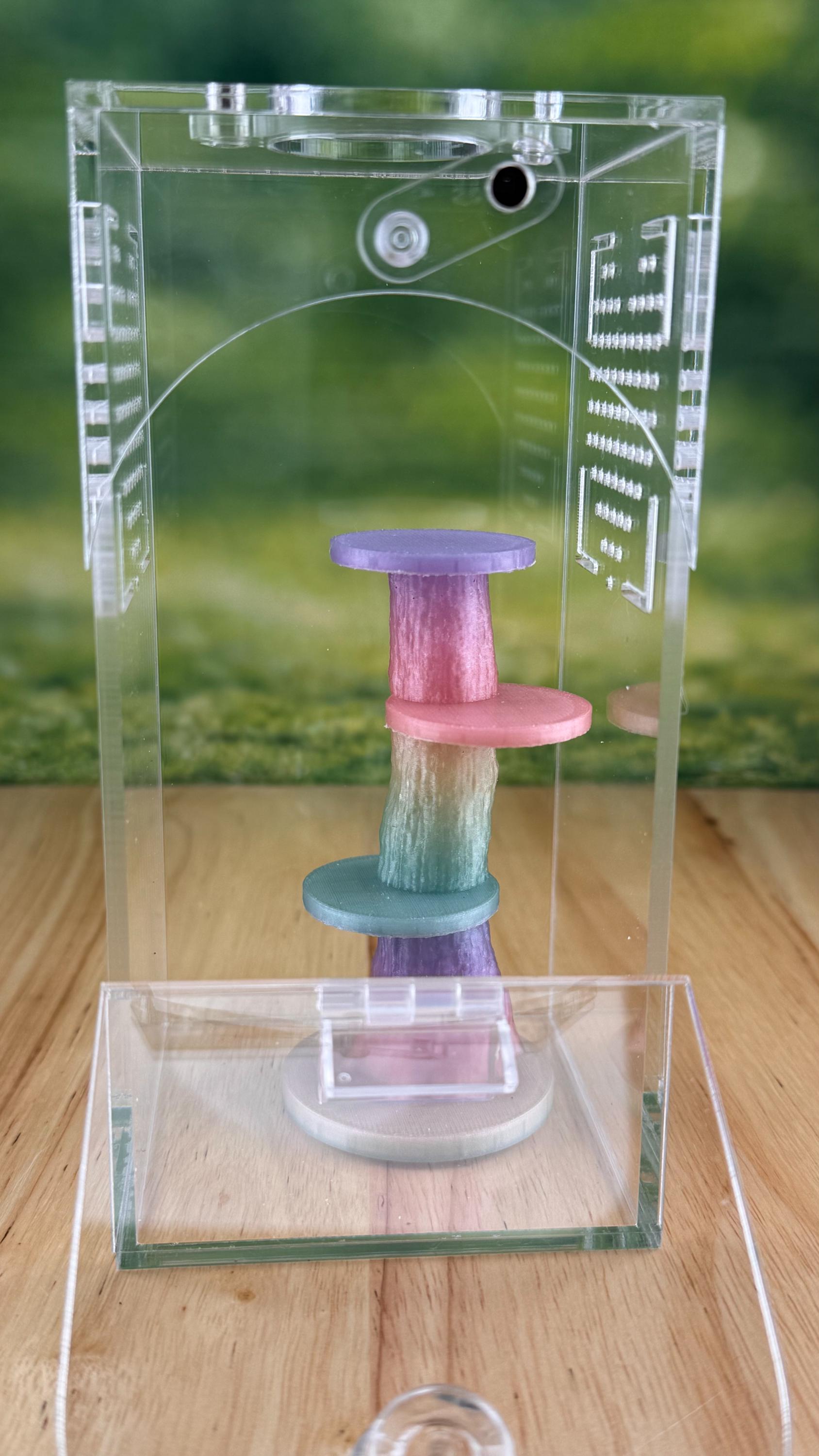 Rainbow Glow in the Dark Jumping Spider Tower playground or enclosure accessory