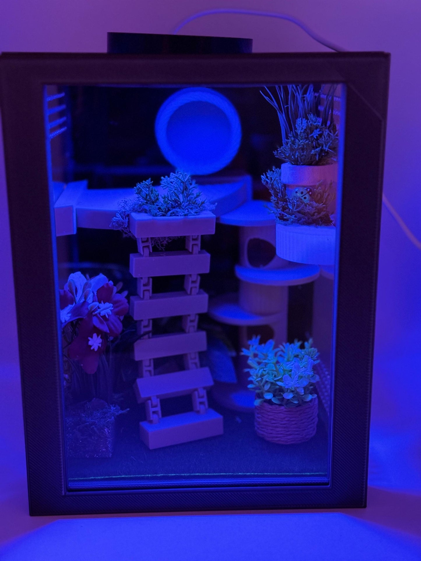 Jumping Spider Enclosure, Front Opening Habitat (7.25x5.5x5x5)