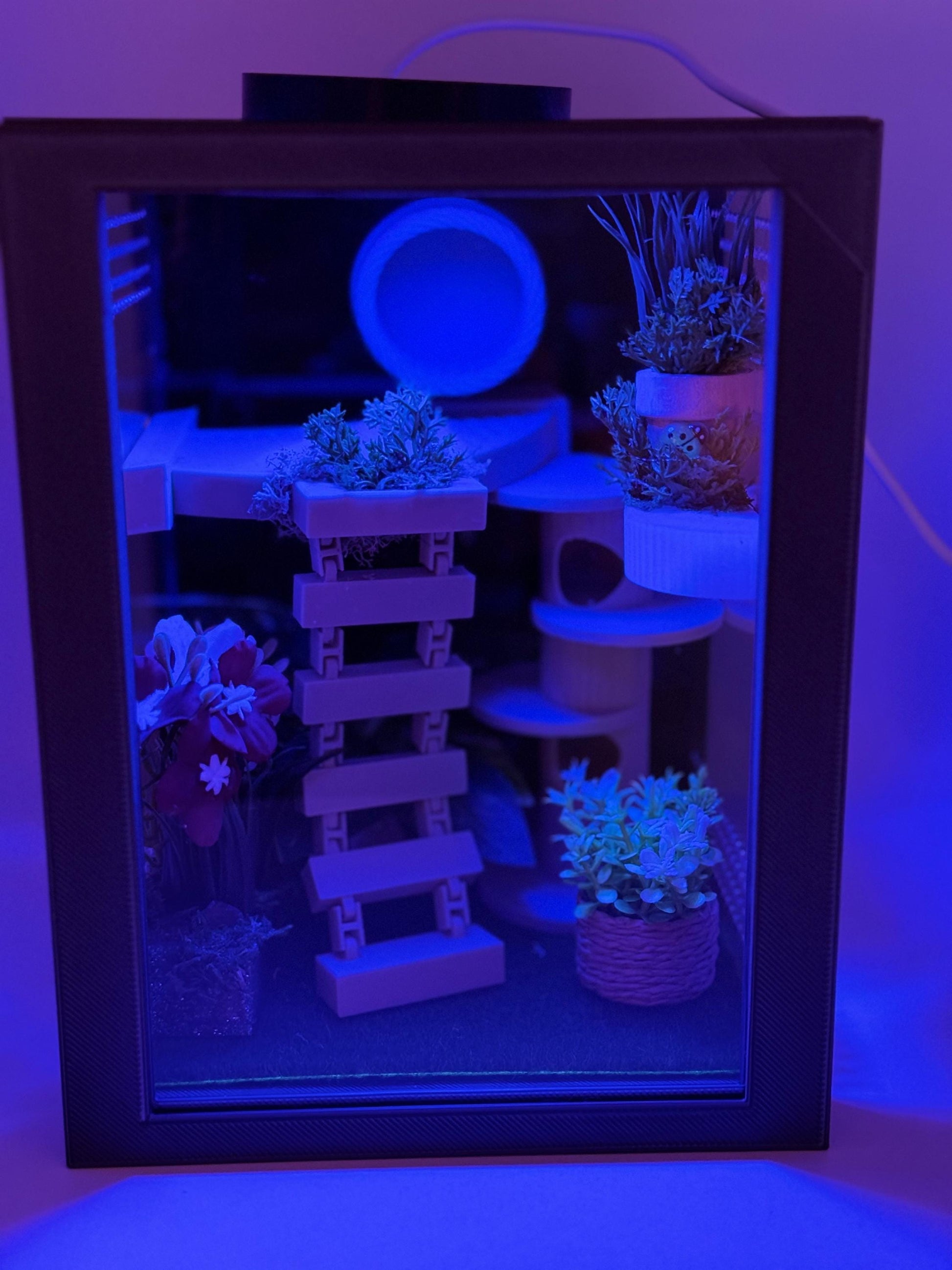 Jumping Spider Enclosure, Front Opening Habitat (7.25x5.5x5x5)