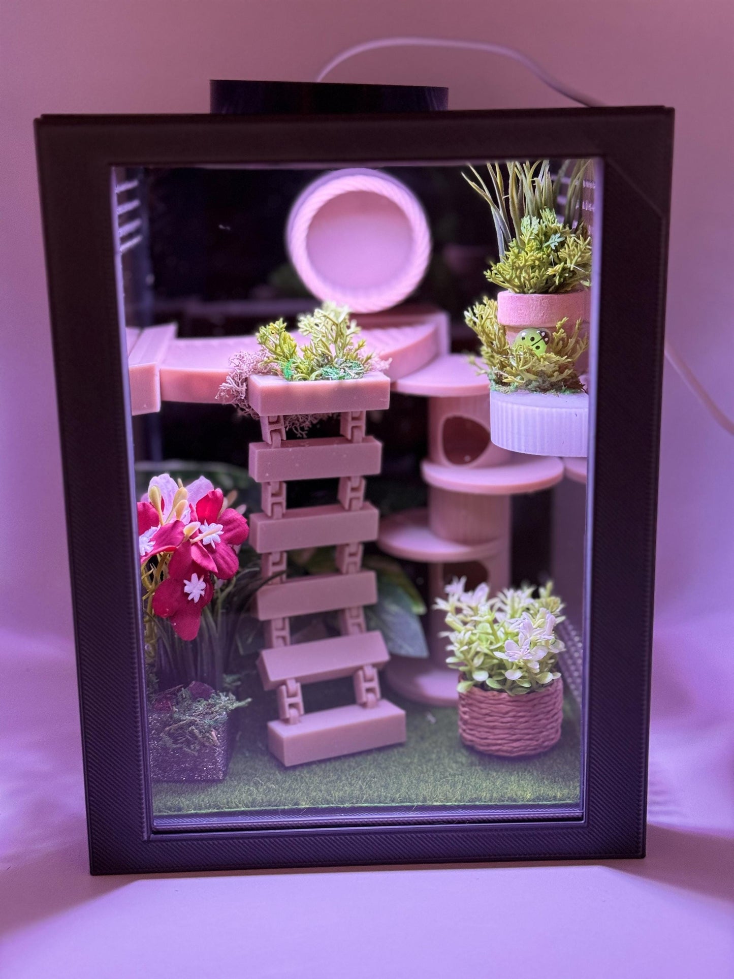 Jumping Spider Enclosure, Front Opening Habitat (7.25x5.5x5x5)