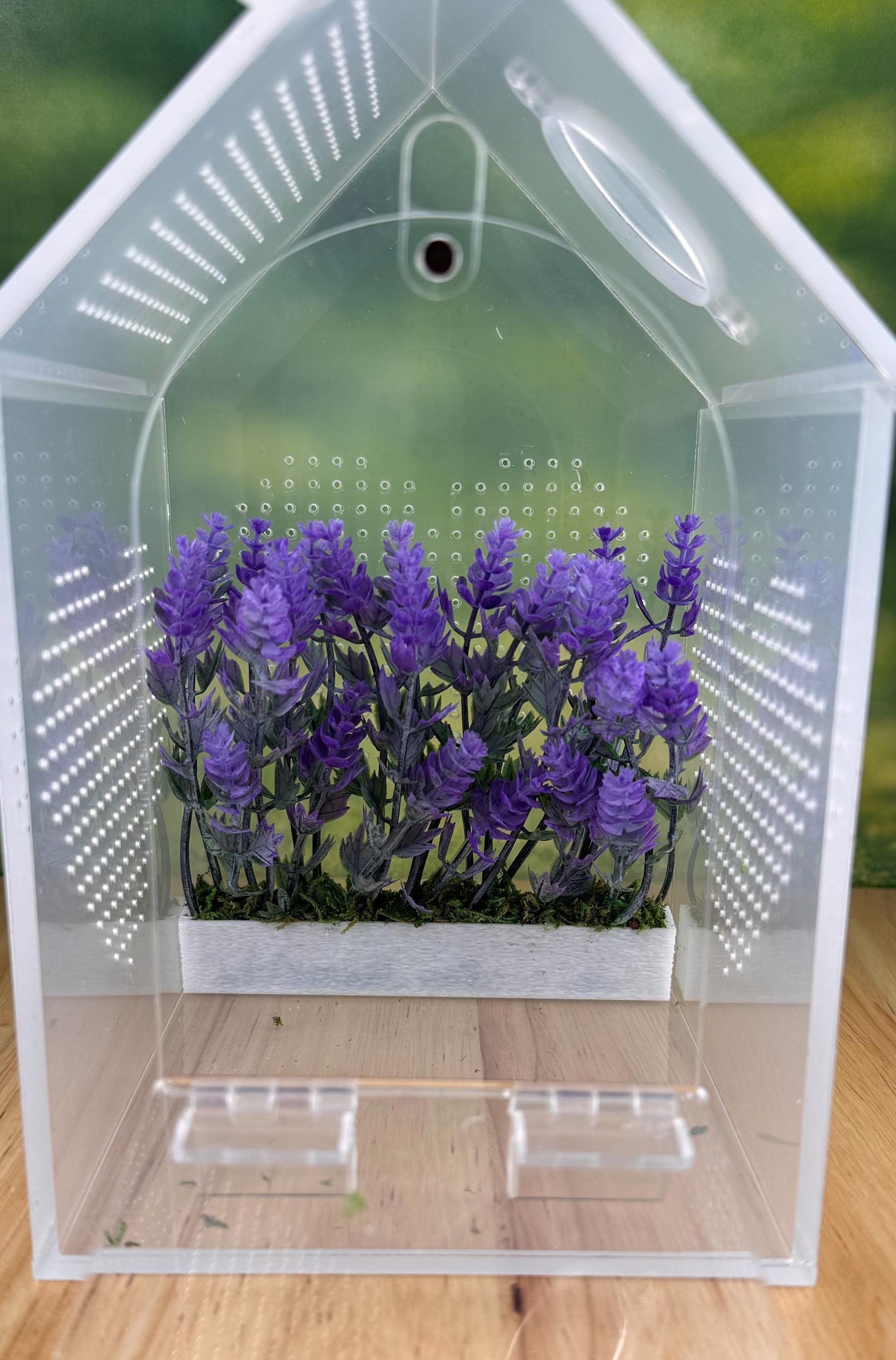 Jumping Spider Decor/Decoration/accessory for enclosure or playground.